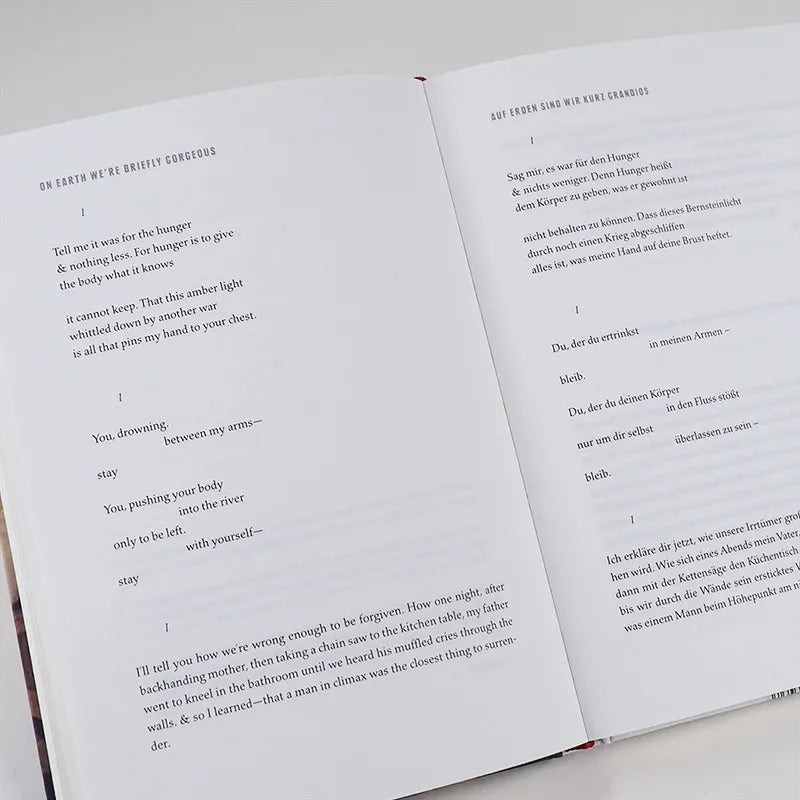 Ocean Vuong - Nachthimmel mit Austrittswunden