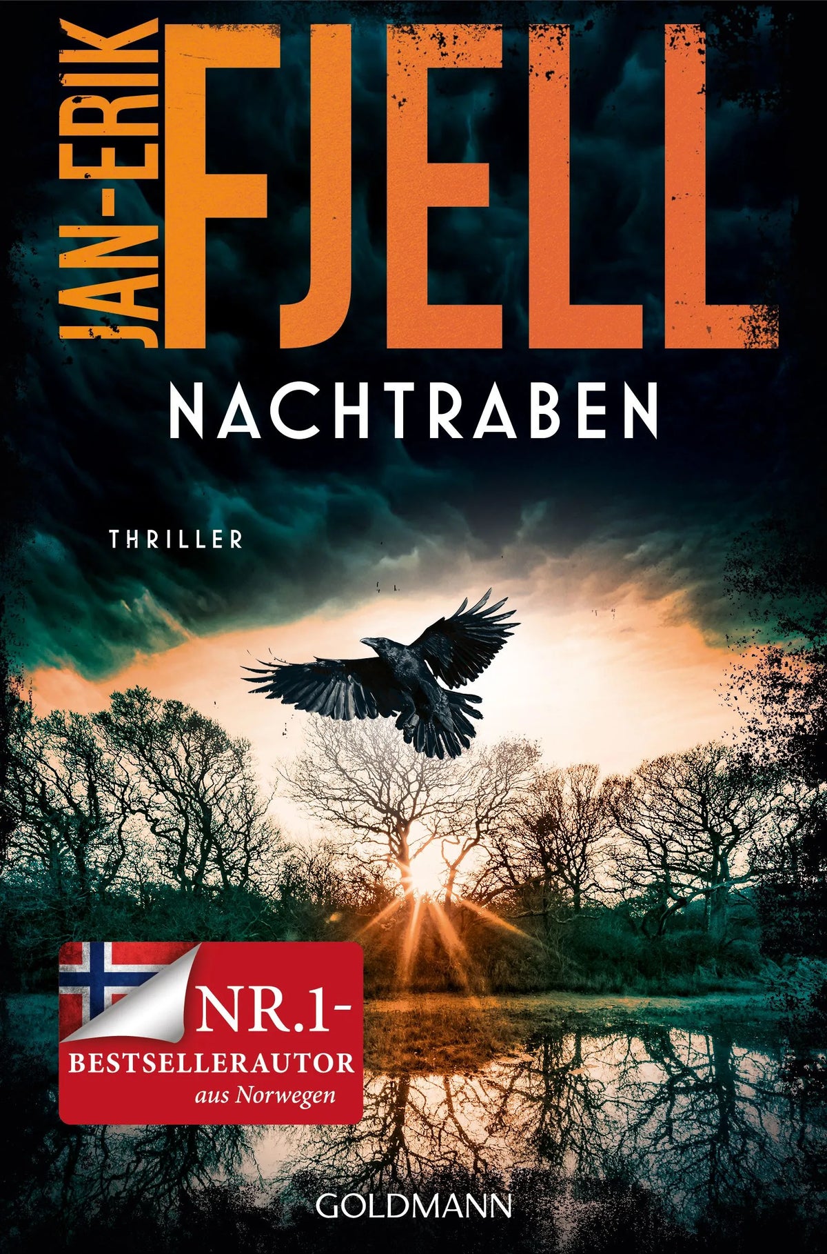 Cover: Nachtraben (Paperback) von Jan-Erik Fjell