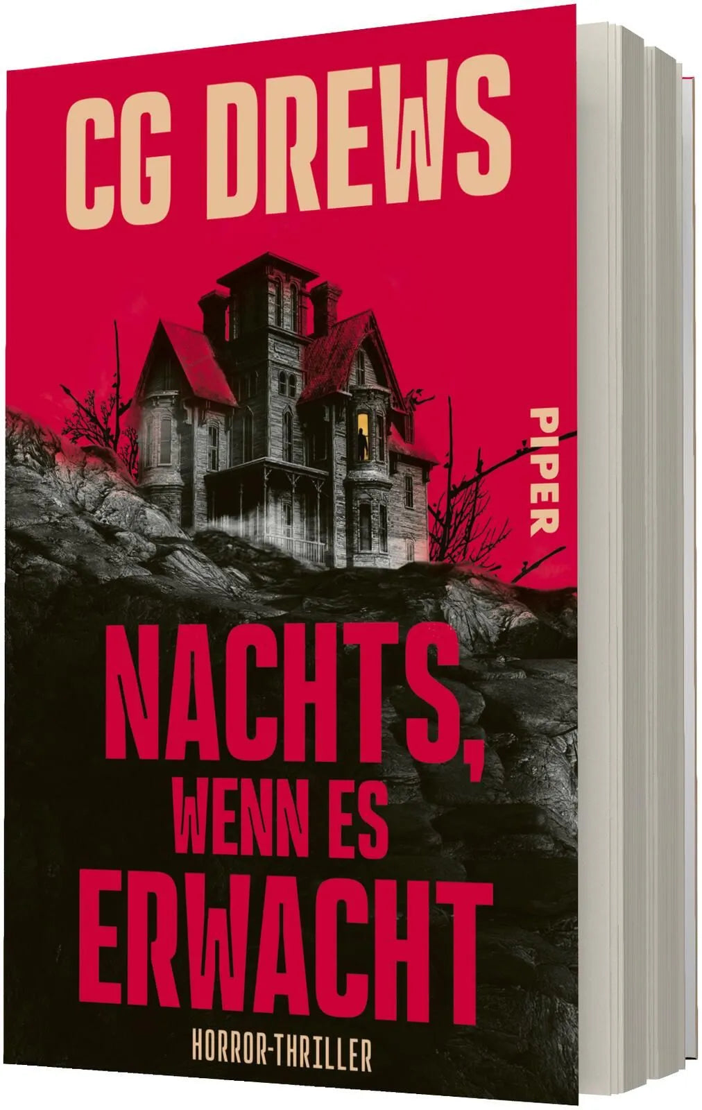 Detailansicht: Nachts, wenn es erwacht (Paperback)