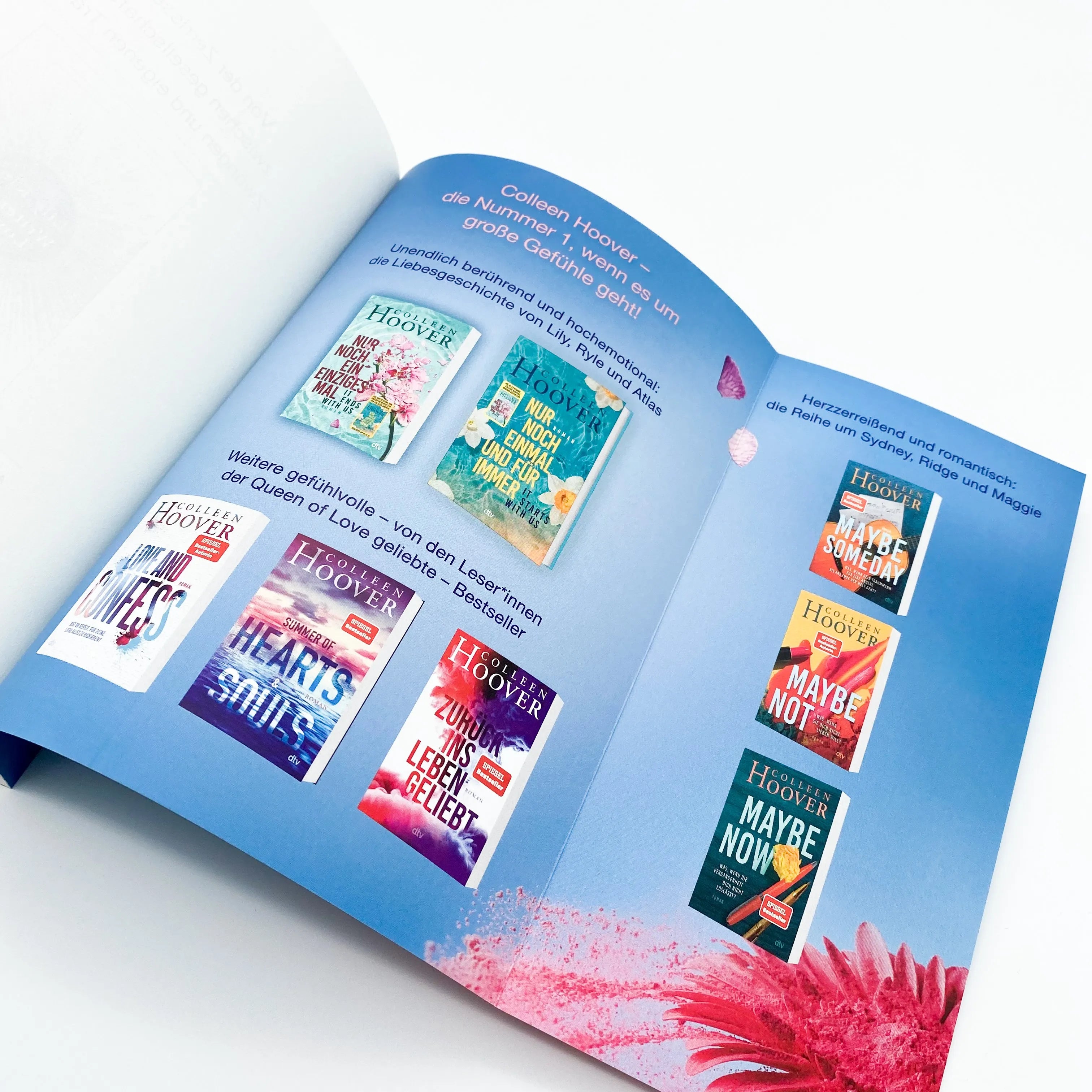 Detailansicht: Nächstes Jahr am selben Tag (Taschenbuch)
