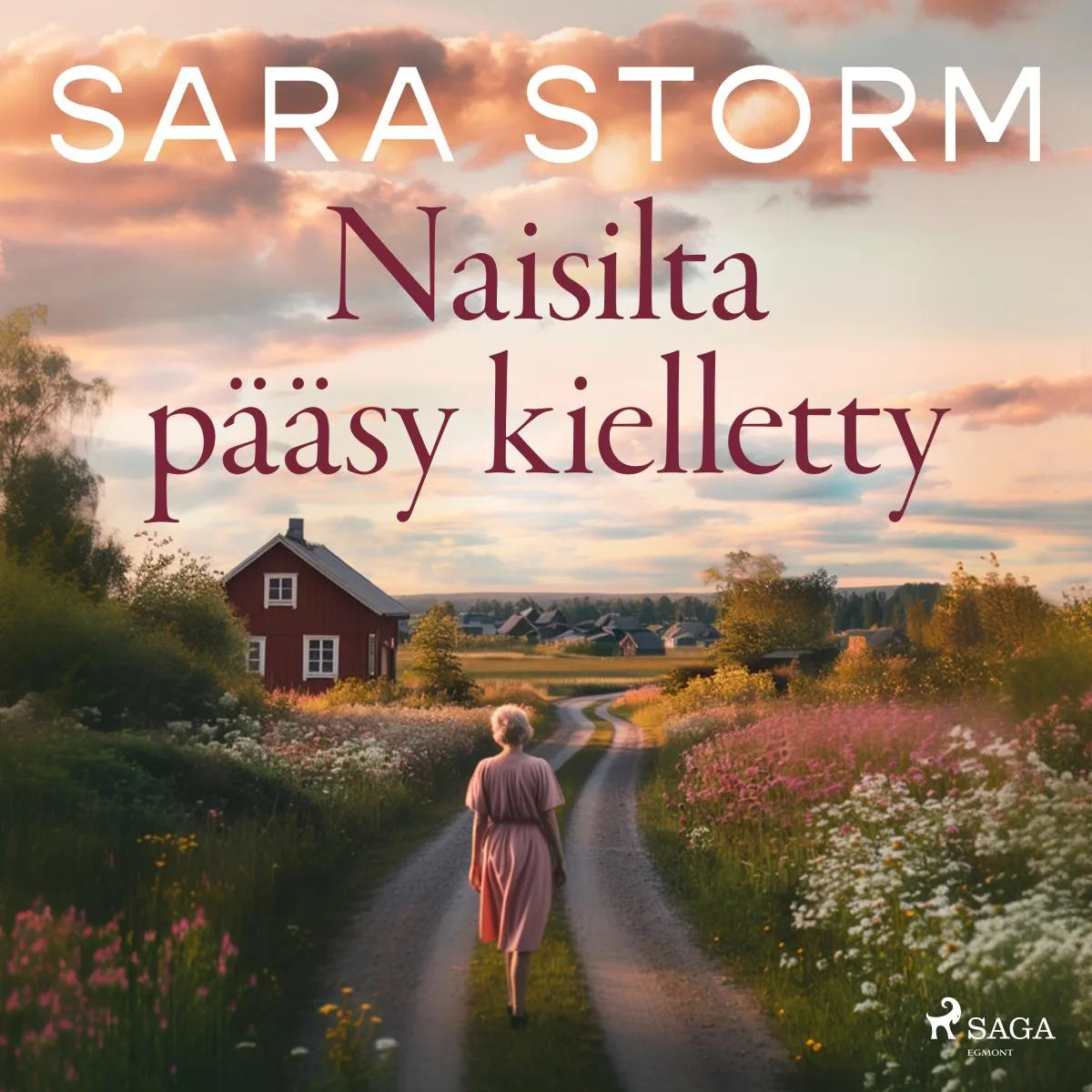 Cover: Naisilta pääsy kielletty (Hörbuch Download) von Sara Storm