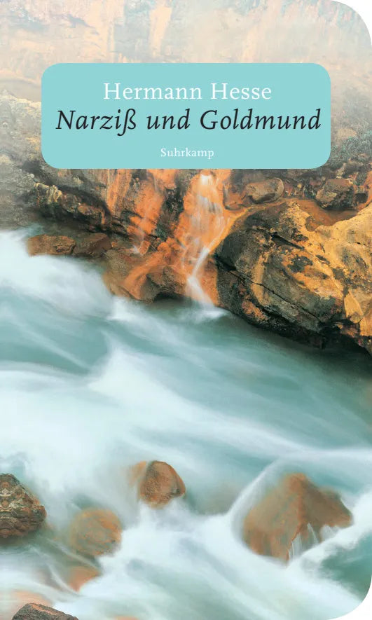 Buchcover von 'Narziß und Goldmund' - Taschenbuch von Hermann Hesse