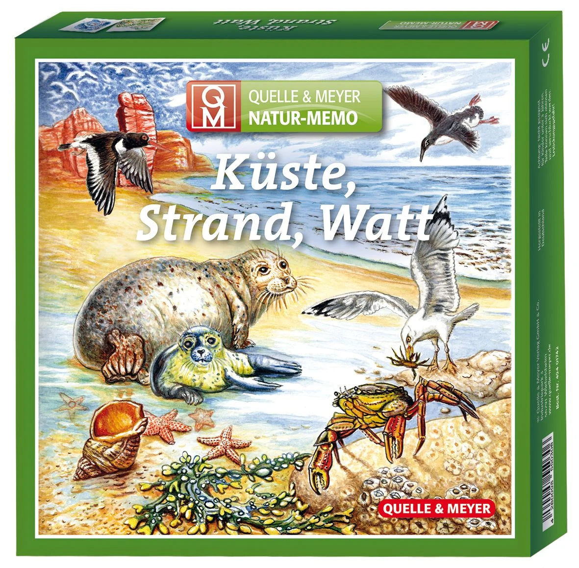 Memospiel: Natur-Memo „Küste, Strand, Watt“