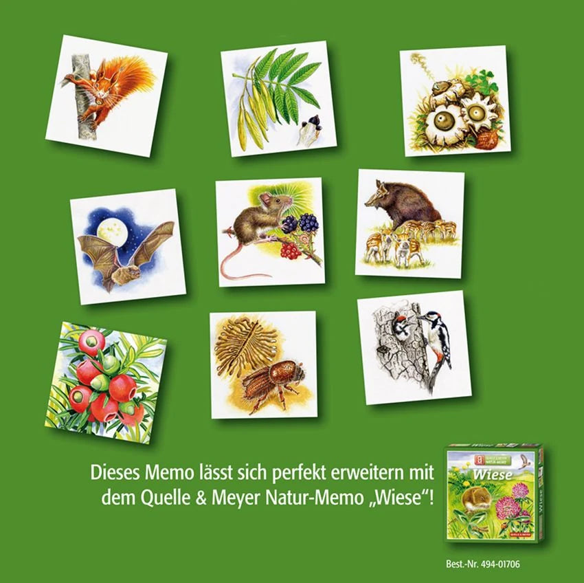 Natur-Memo „Wald“ – Ansicht