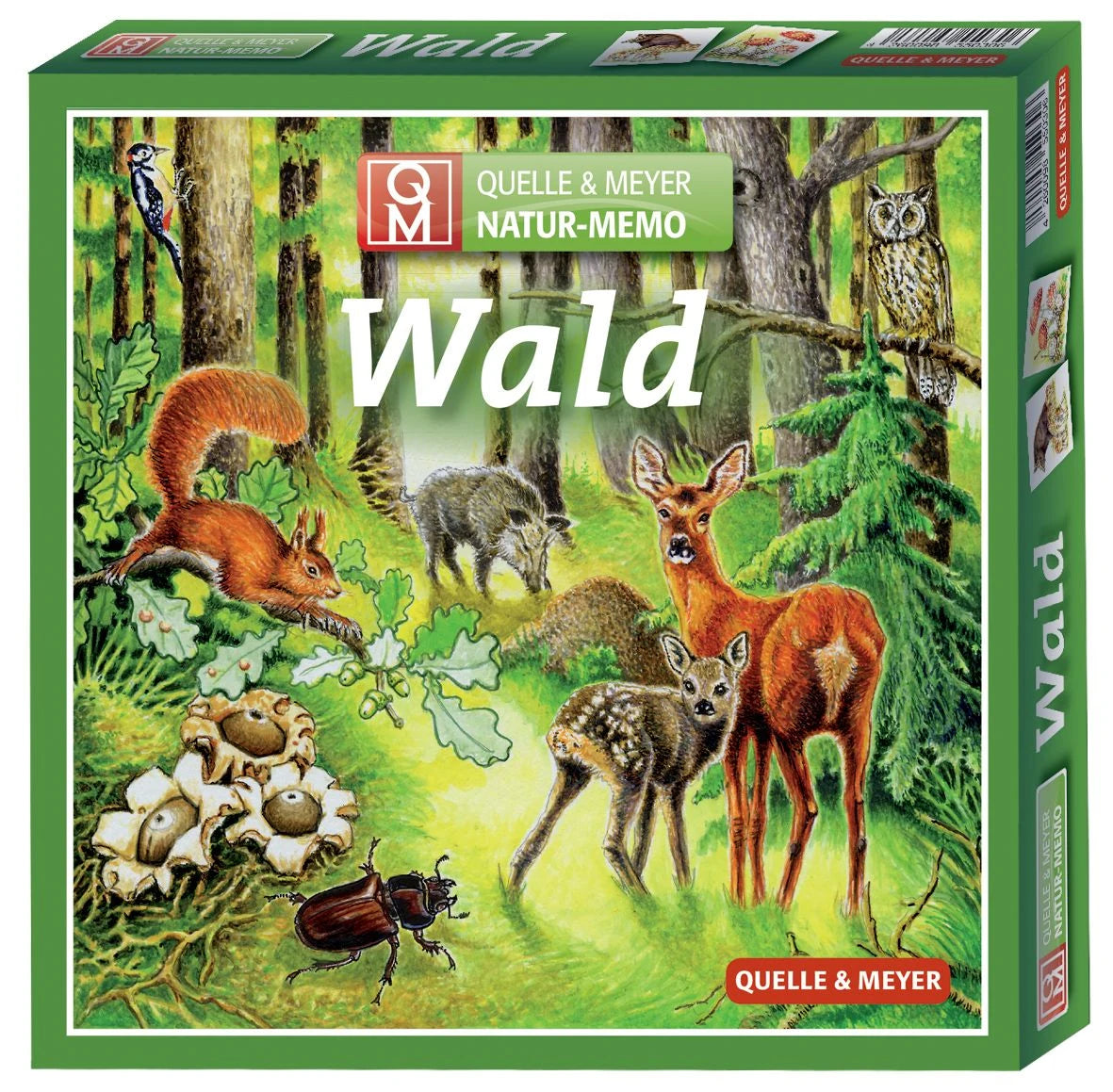 Würfelspiel: Natur-Memo „Wald“