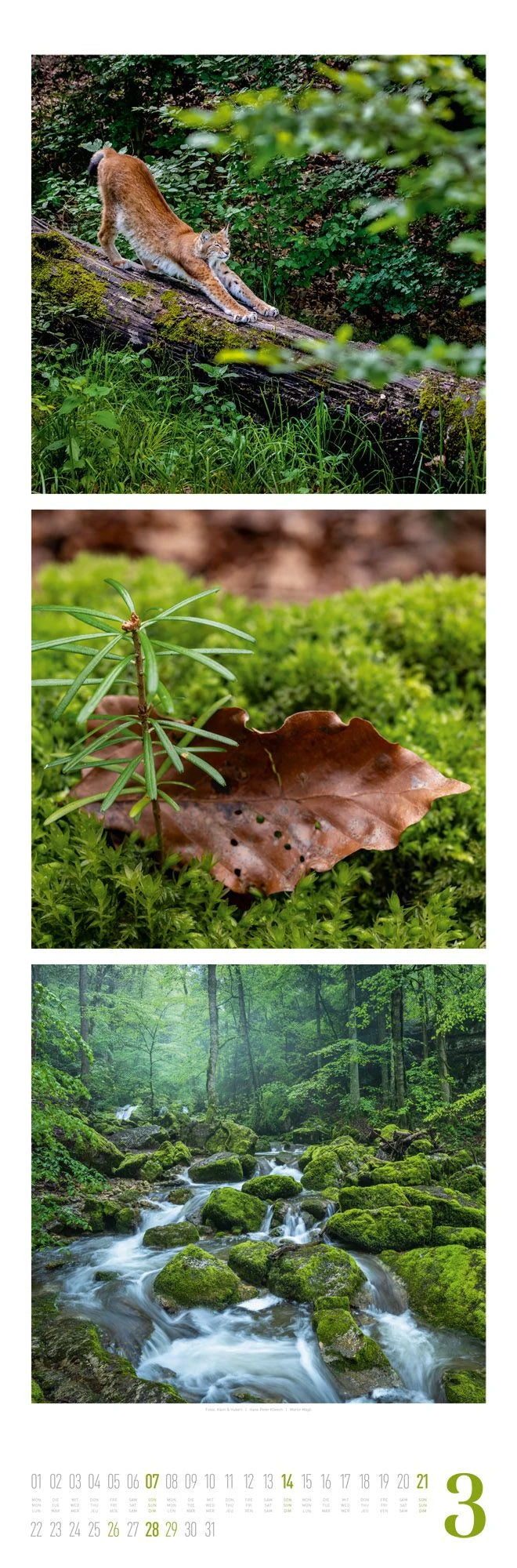 Nature Triplet-Kalender 2027 – Ansicht