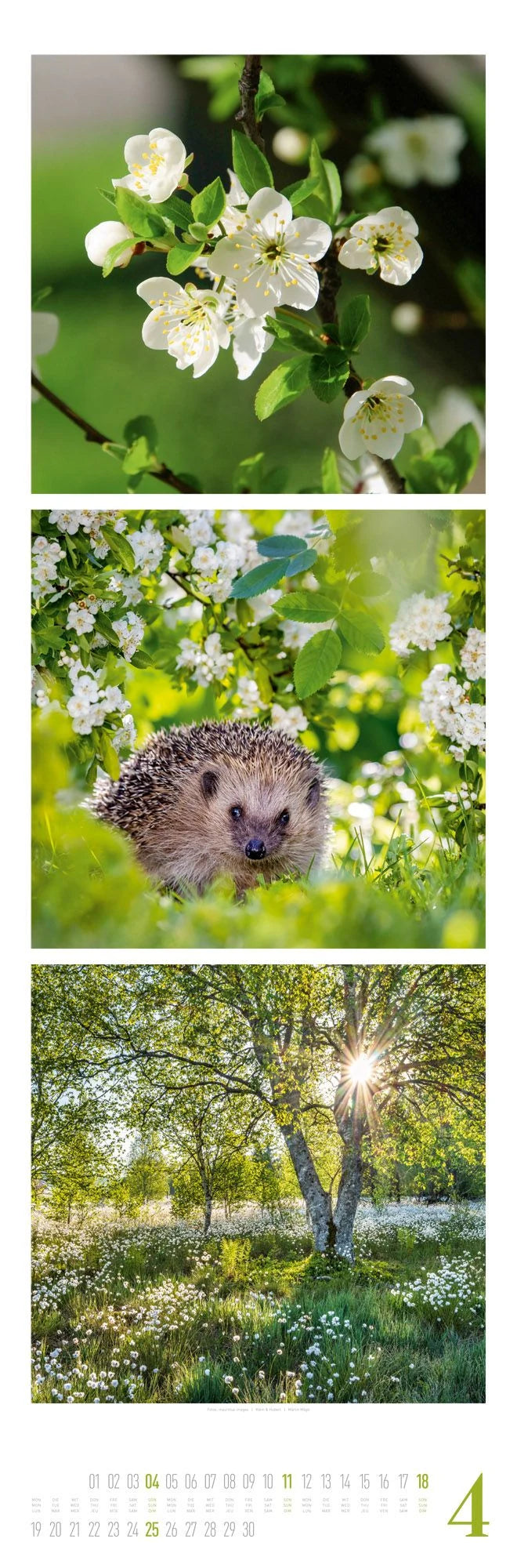Nature Triplet-Kalender 2027 – Ansicht