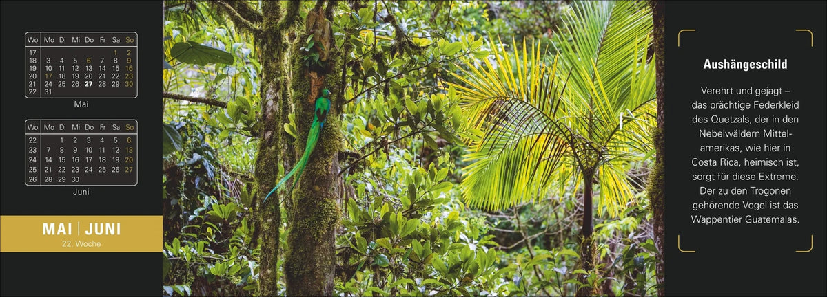 Naturparadiese Premium-Tischplaner 2027 - Wochenkalender mit 53 Fotografien – Ansicht