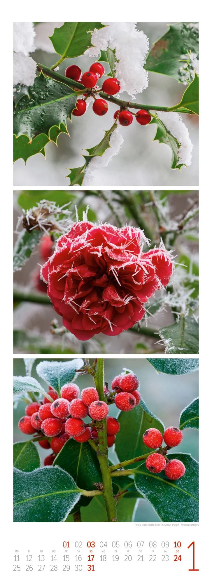 NaturZeit Triplet-Kalender 2027 – Ansicht