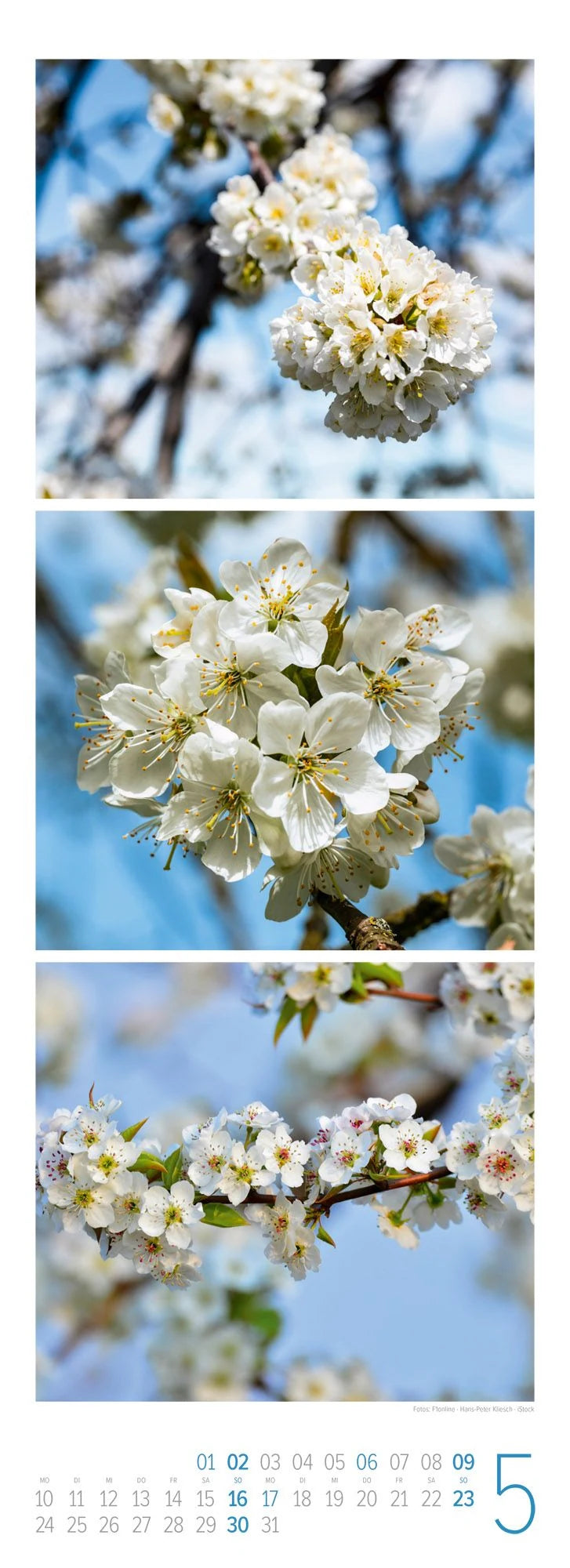 NaturZeit Triplet-Kalender 2027 – Ansicht