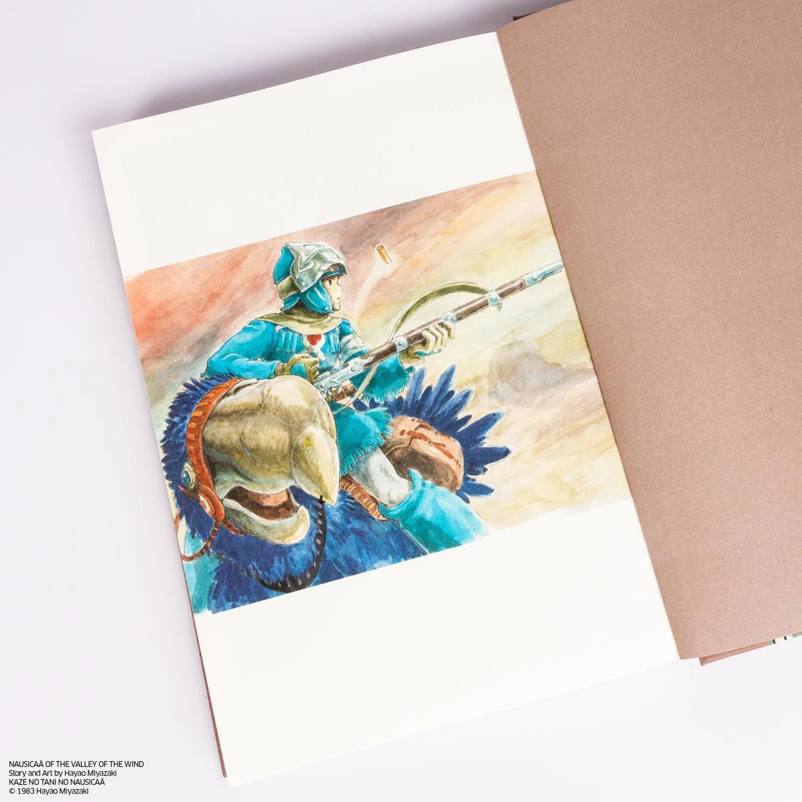 Abbildung von 'Nausicaä aus dem Tal der Winde: Doppelband-Edition 2'
