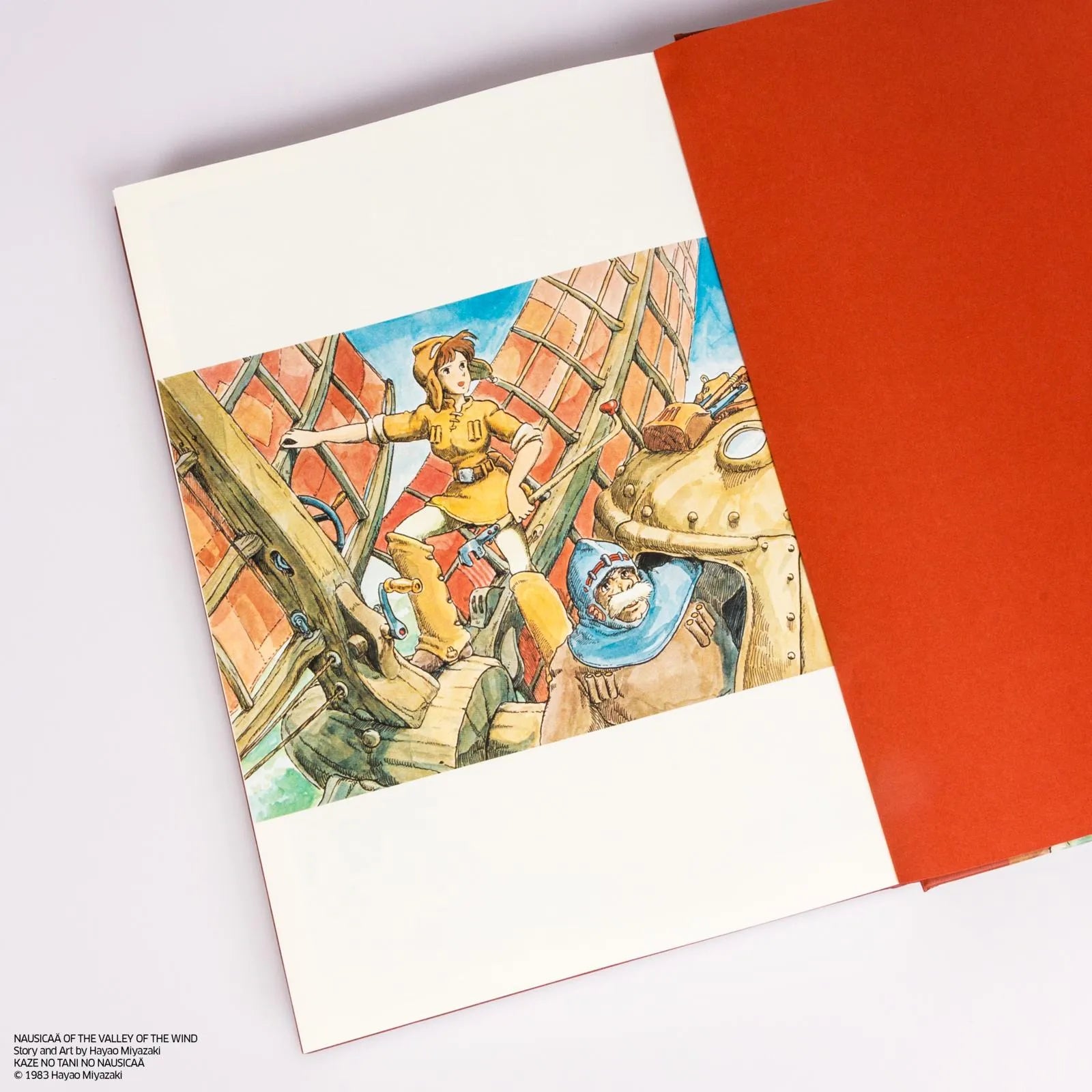 Produktansicht: Nausicaä aus dem Tal der Winde: Doppelband-Edition 4 (Gebundene Ausgabe)