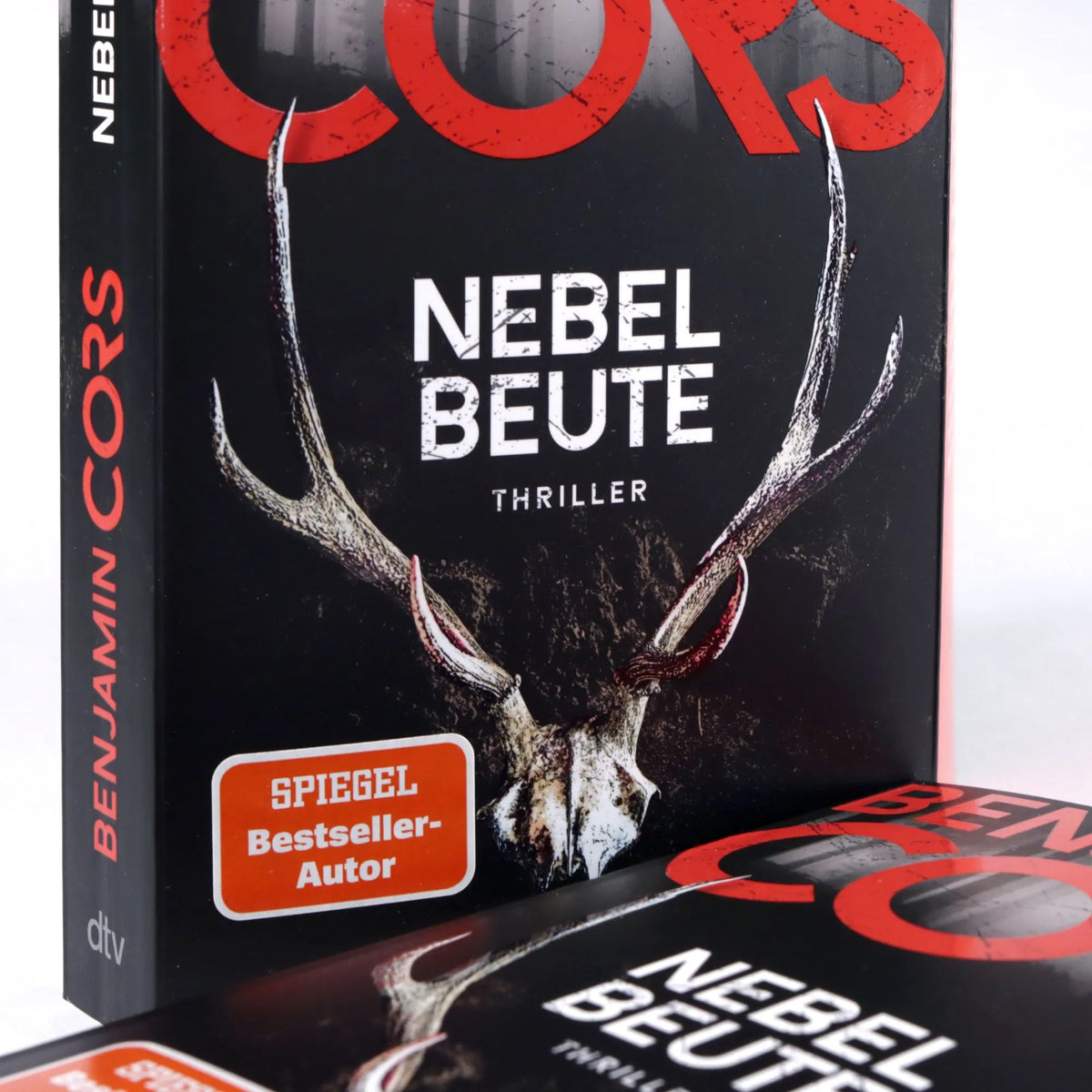 Detailansicht: Nebelbeute (Taschenbuch)