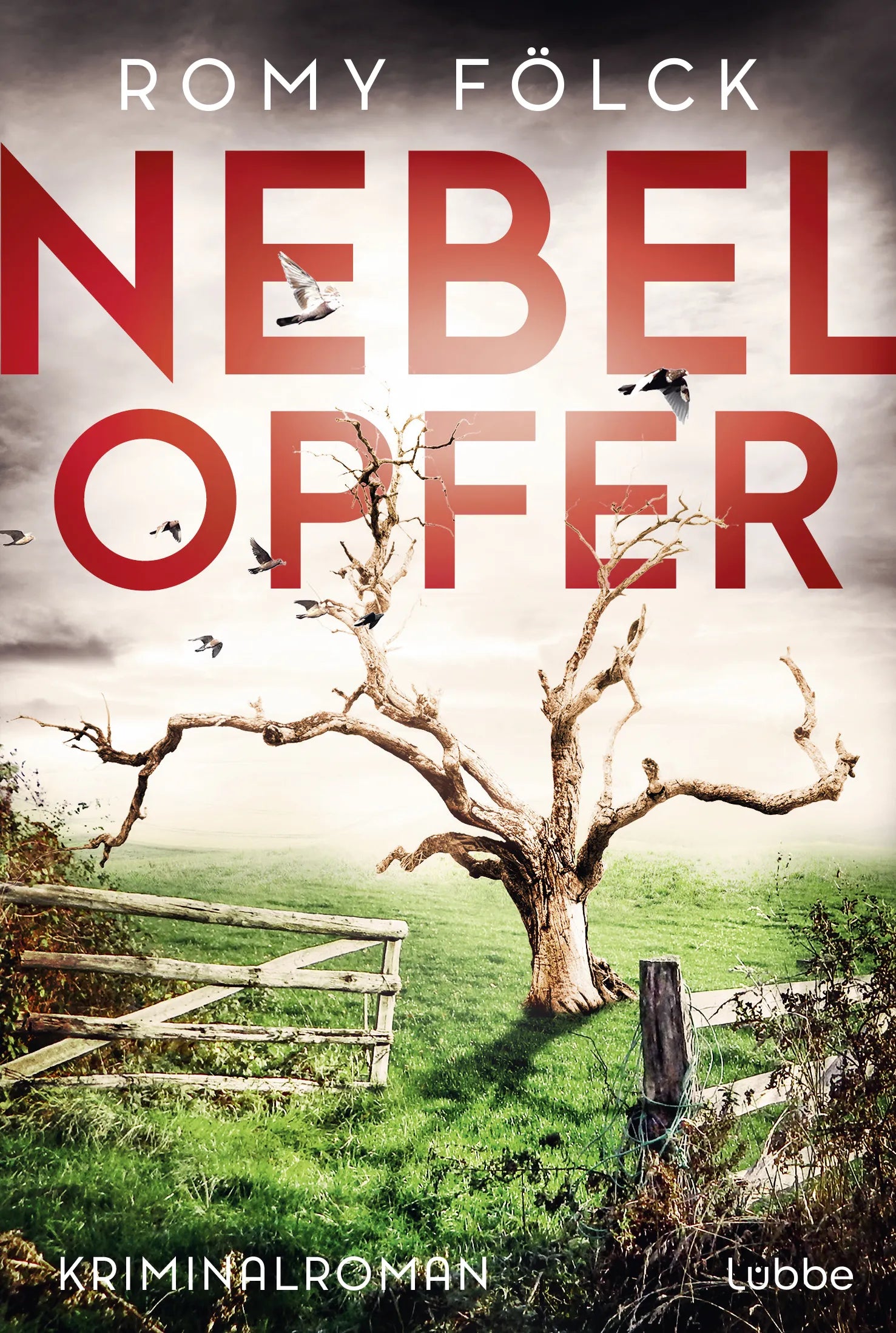 Buchcover von 'Nebelopfer' - Taschenbuch von Romy Fölck