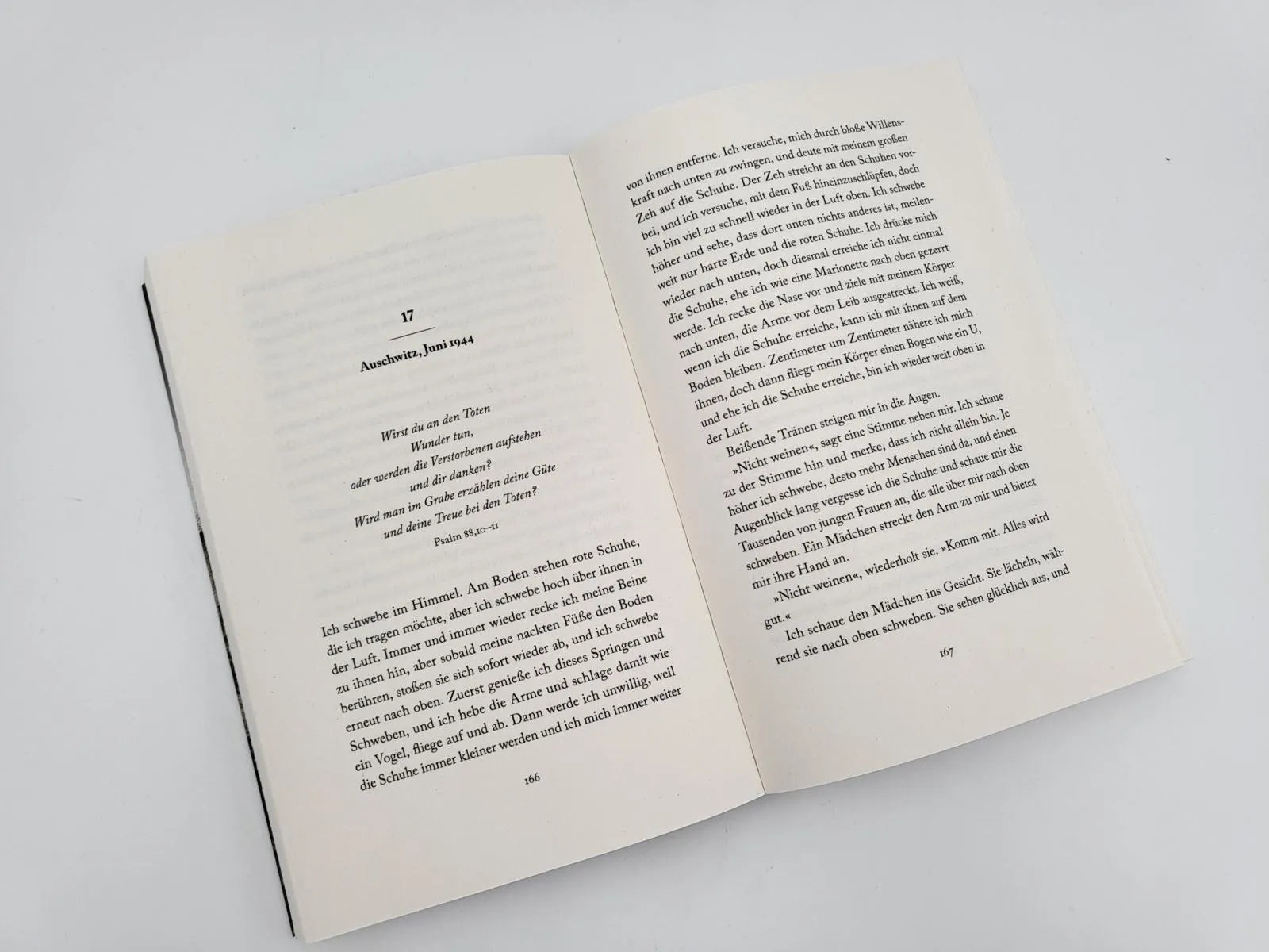 Produktansicht: Das Mädchen mit dem roten Zopf (Paperback)