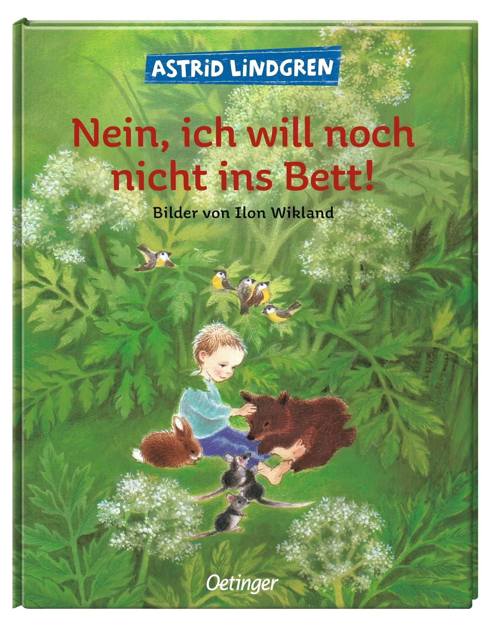 Produktansicht: Nein, ich will noch nicht ins Bett! (Gebundene Ausgabe)