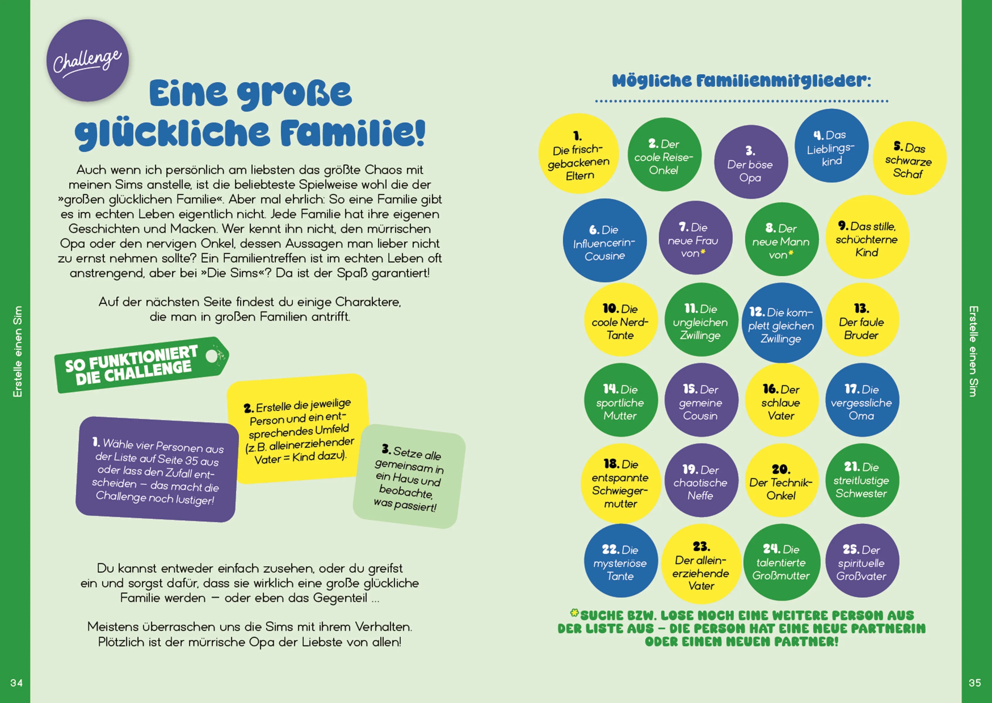 Produktansicht: Simspiration (Paperback)