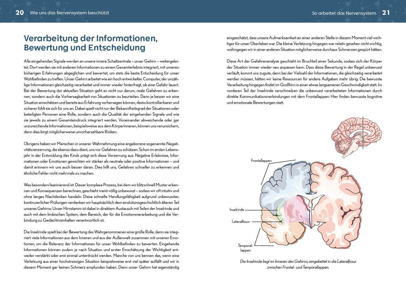 Innenansicht von 'Neurozentriertes Yoga' - Taschenbuch