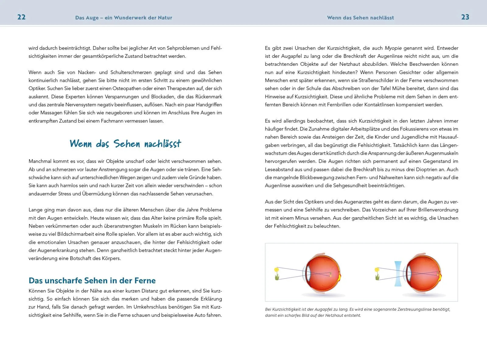 Innenansicht von 'Neustart für die Augen' - Taschenbuch