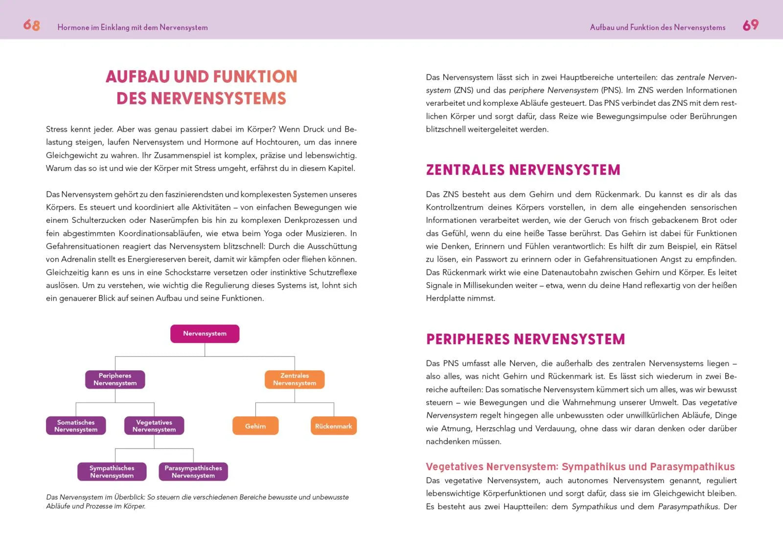 Innenansicht von 'Neustart für die Hormone' - Taschenbuch