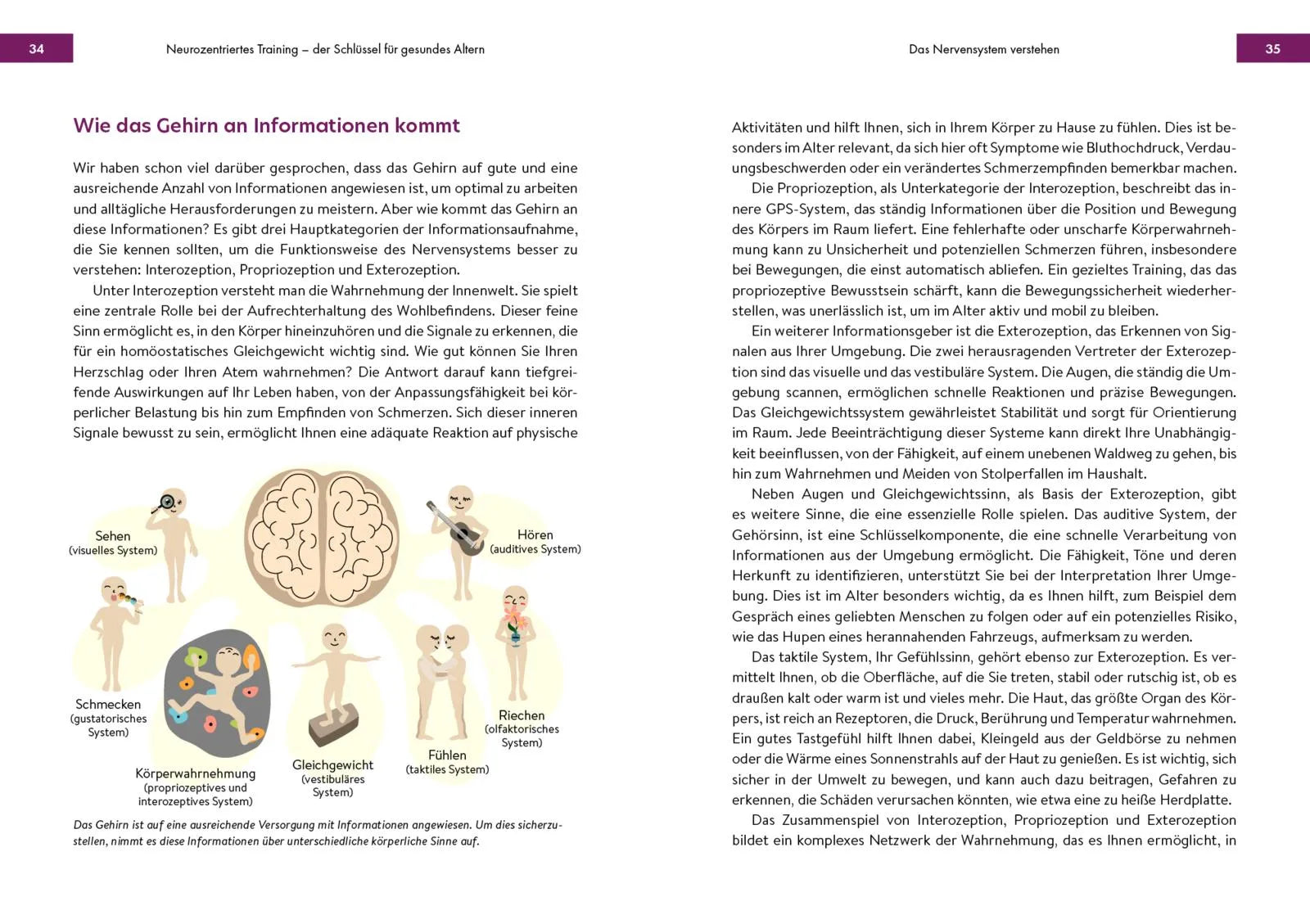 Innenansicht von 'Neustart fürs Gehirn' - Taschenbuch