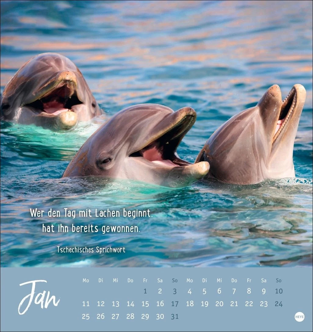 Never give up! Postkartenkalender 2027 - Durchhalten. Denn alles wird gut. – Ansicht