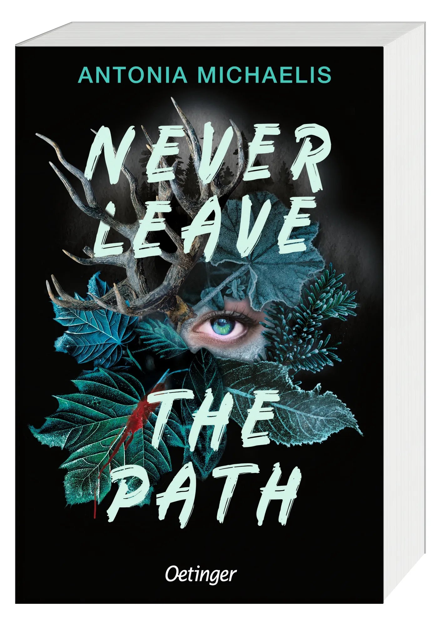 Detailansicht: Never Leave the Path (Taschenbuch)