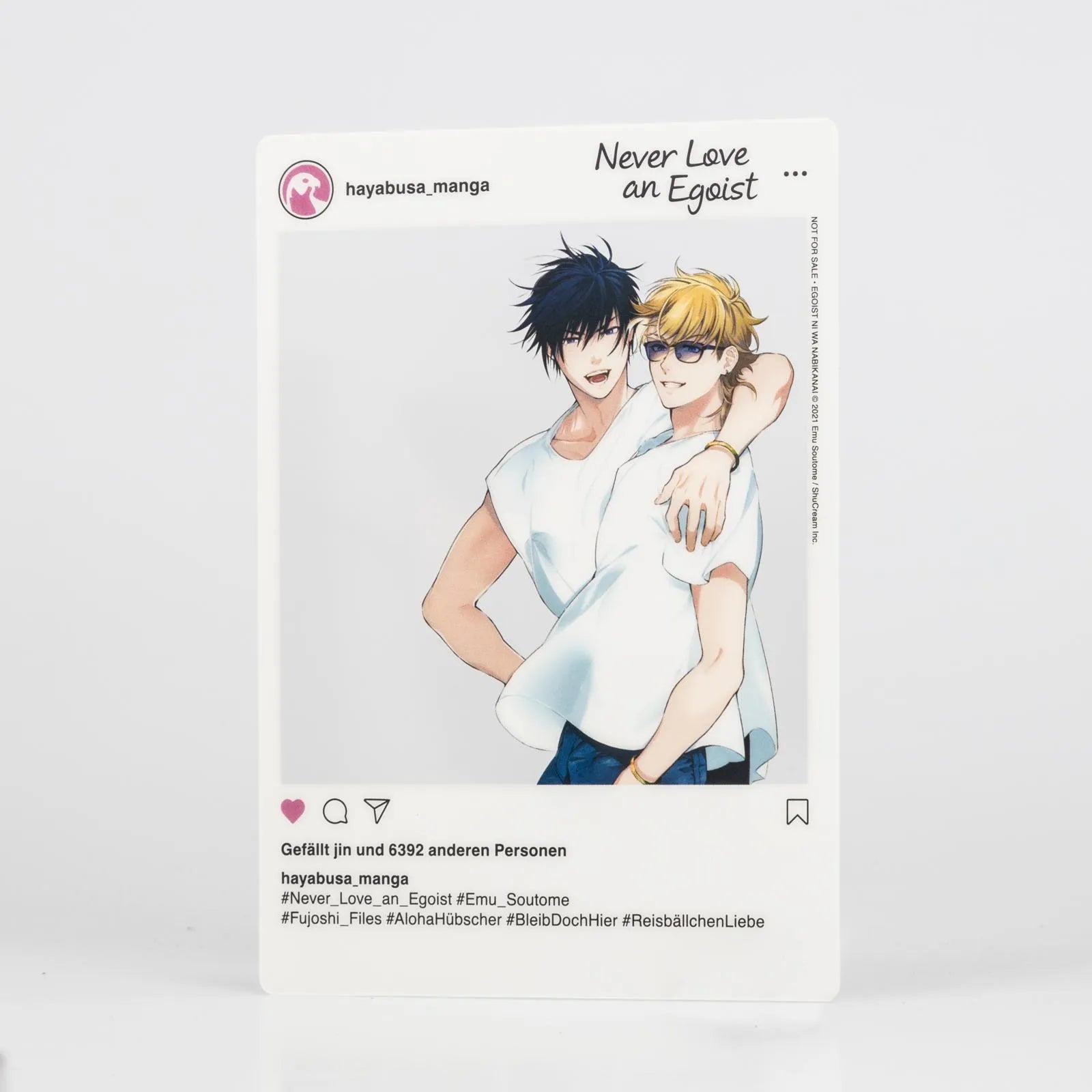 Abbildung von 'Never Love an Egoist'