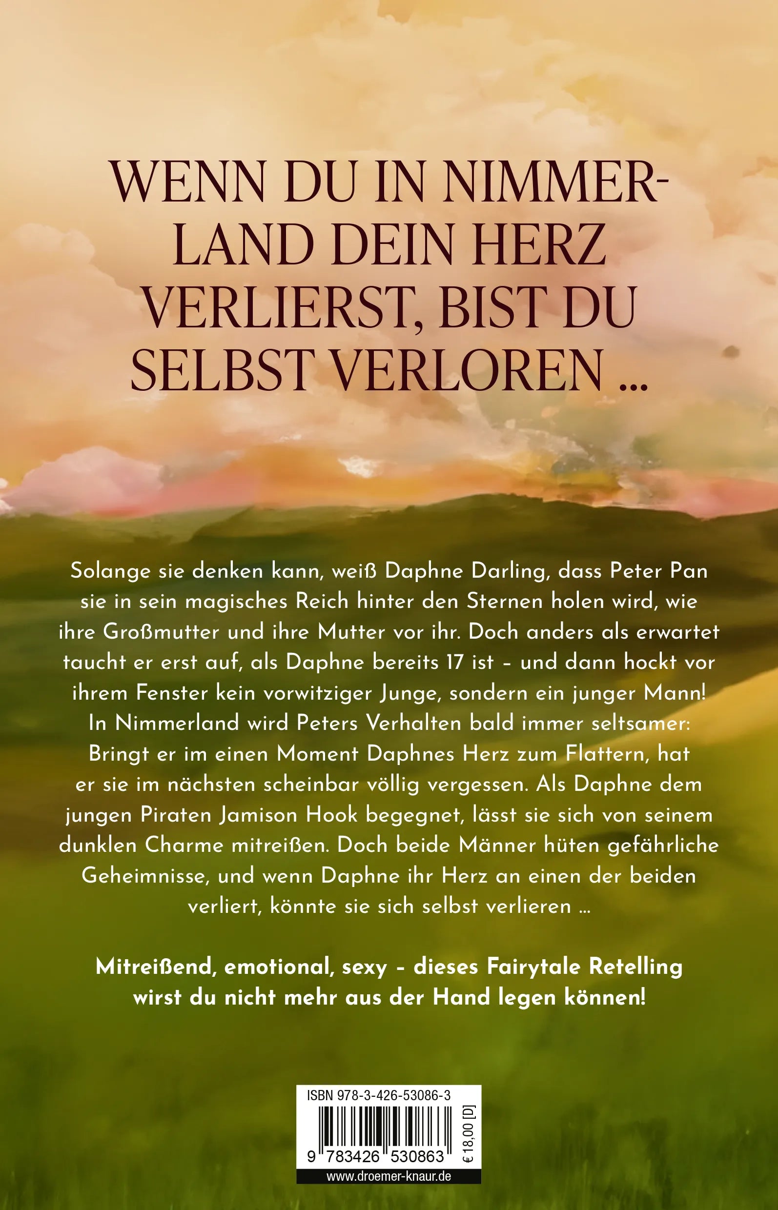Buchrückseite von 'Never' mit Klappentext - Paperback