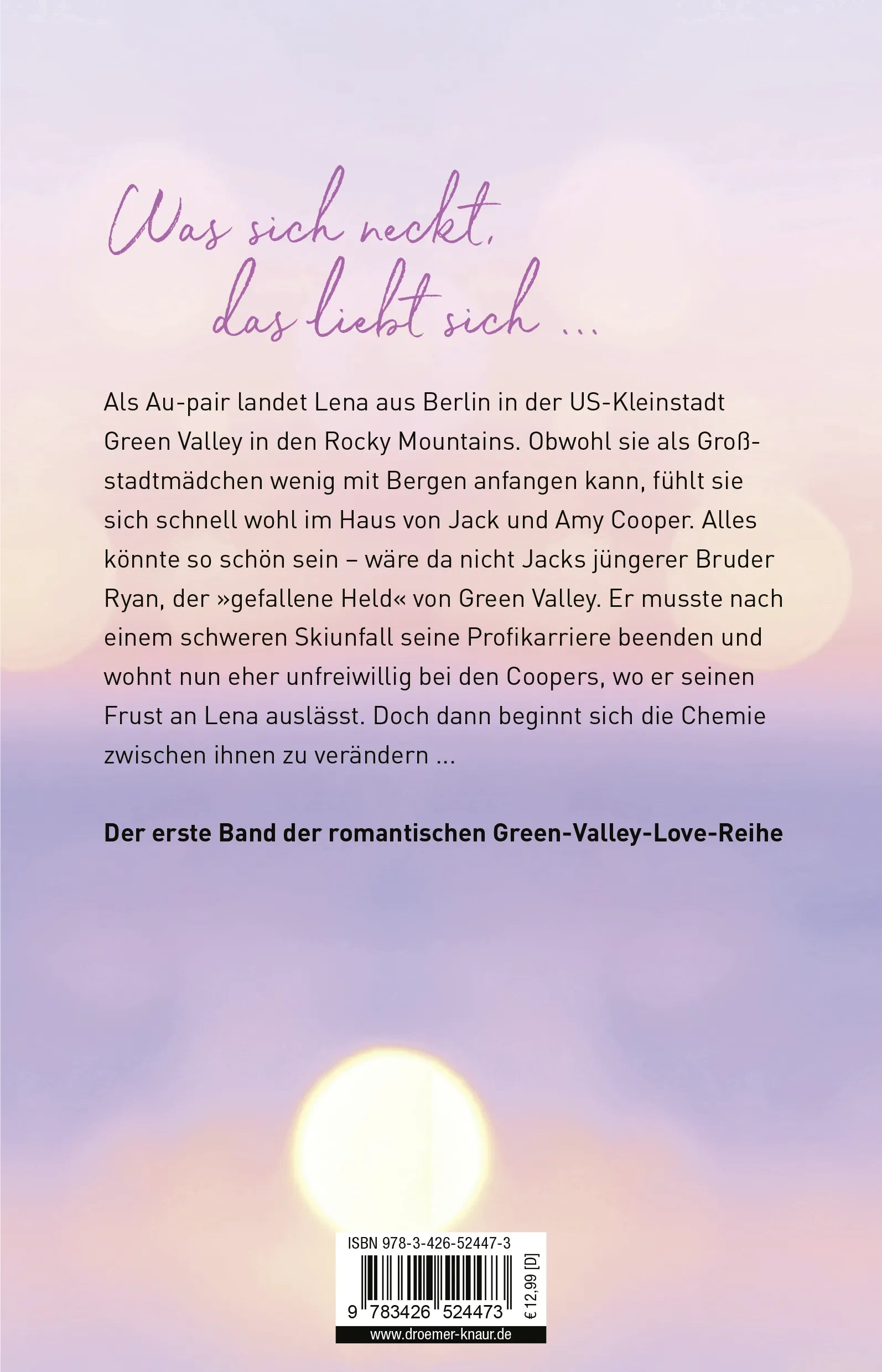 Buchrückseite von 'New Beginnings' mit Klappentext - Paperback