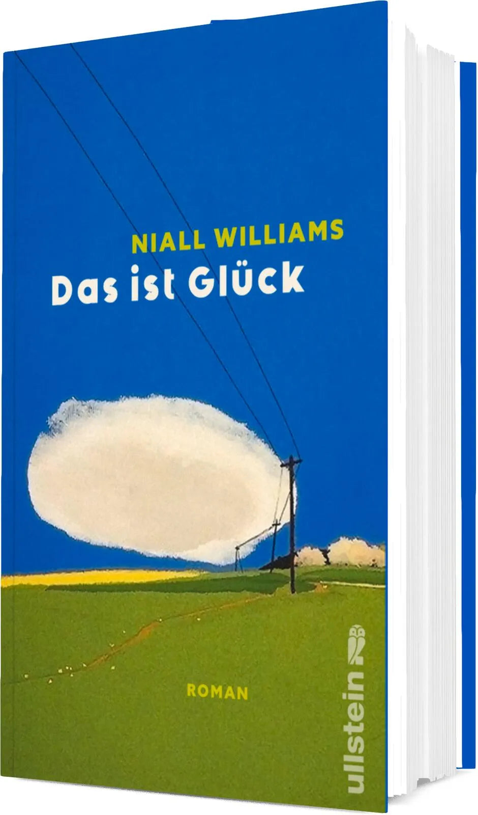 Produktansicht: Das ist Glück (Gebundene Ausgabe)