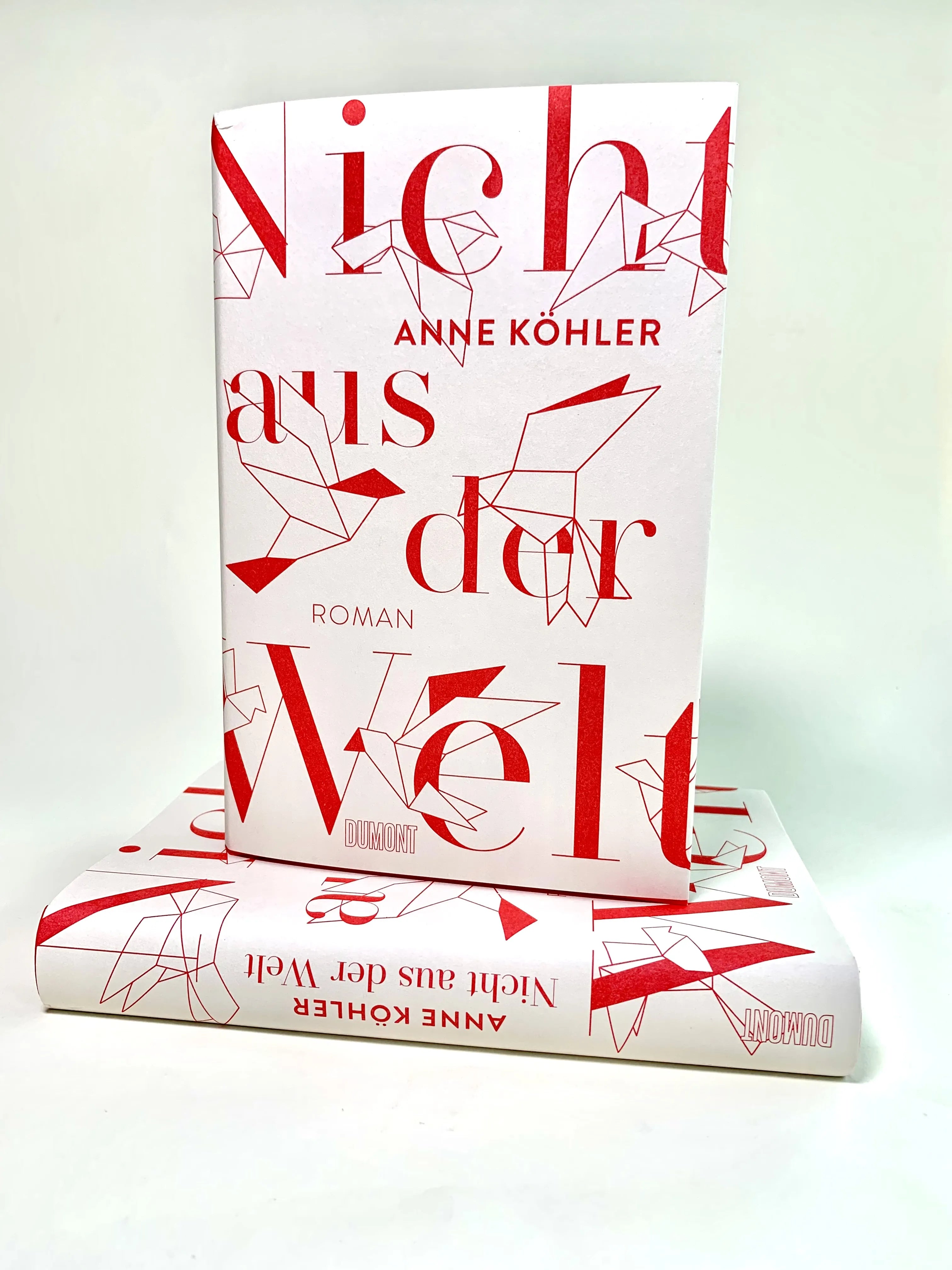 Abbildung von 'Nicht aus der Welt'