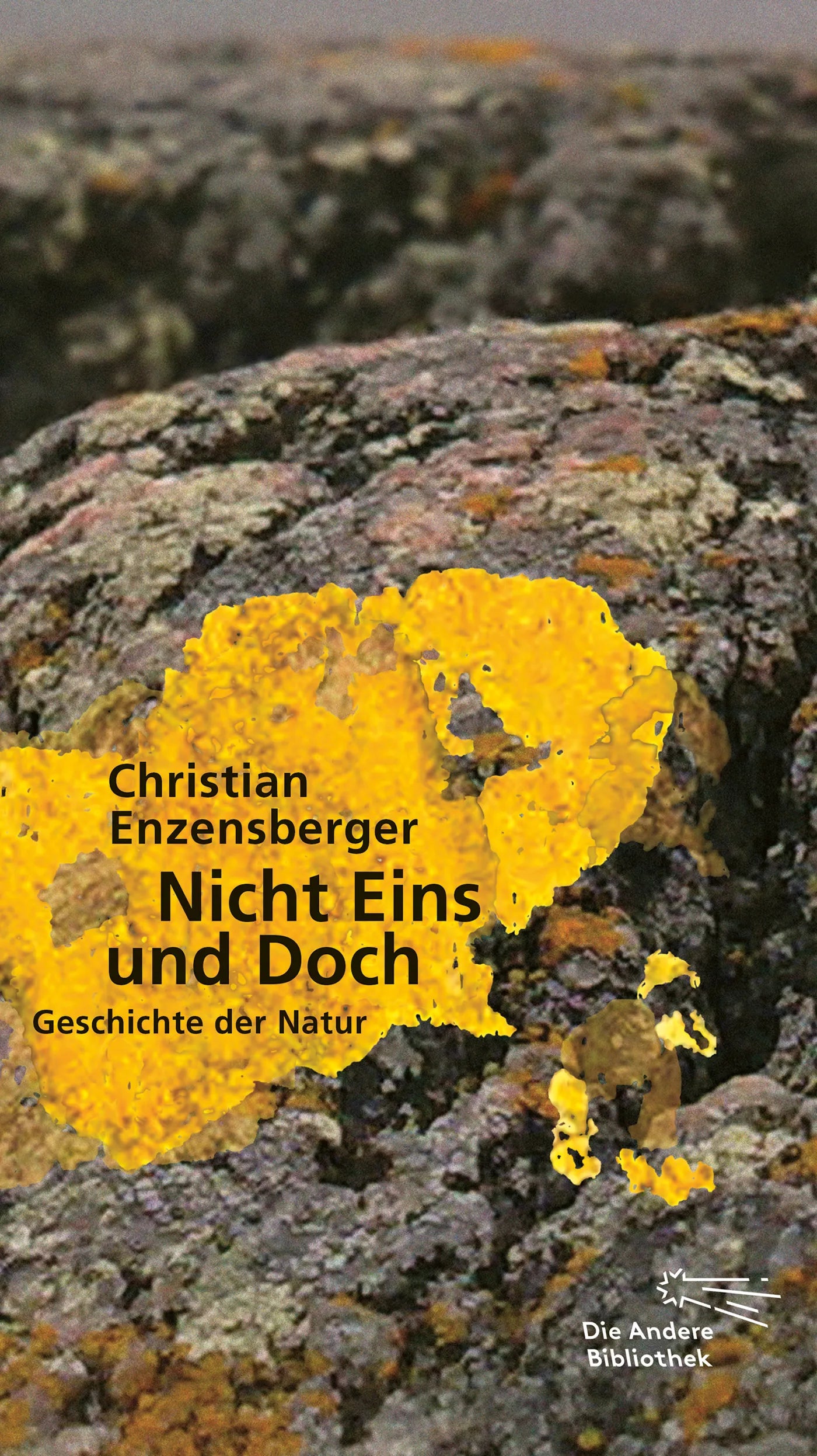 Buchcover von 'Nicht Eins und Doch' - Gebundene Ausgabe von Christian Enzensberger