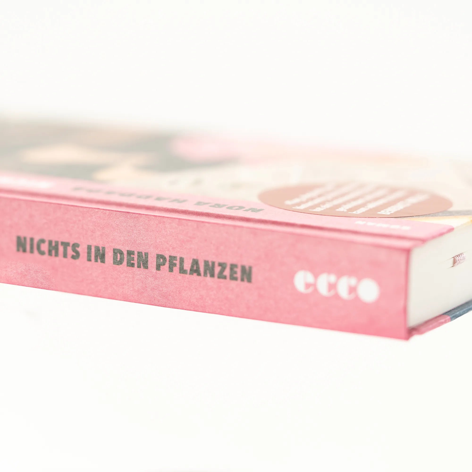 Produktansicht: Nichts in den Pflanzen (Gebundene Ausgabe)
