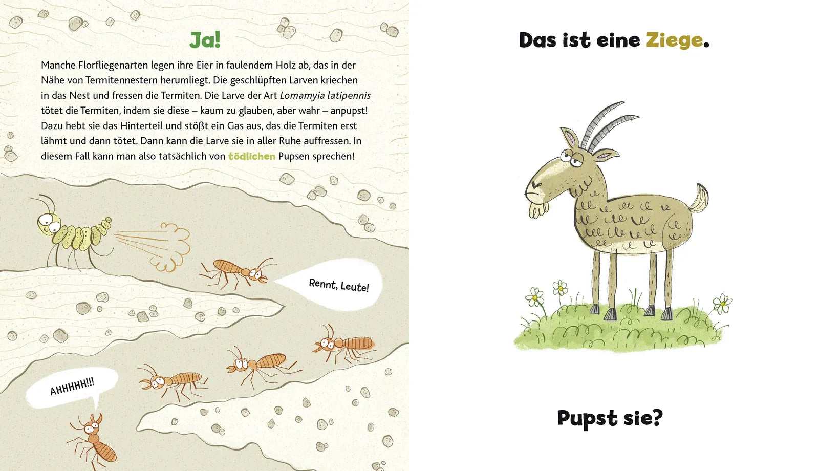 Produktansicht: Wer hat hier gepupst? (Gebundene Ausgabe)