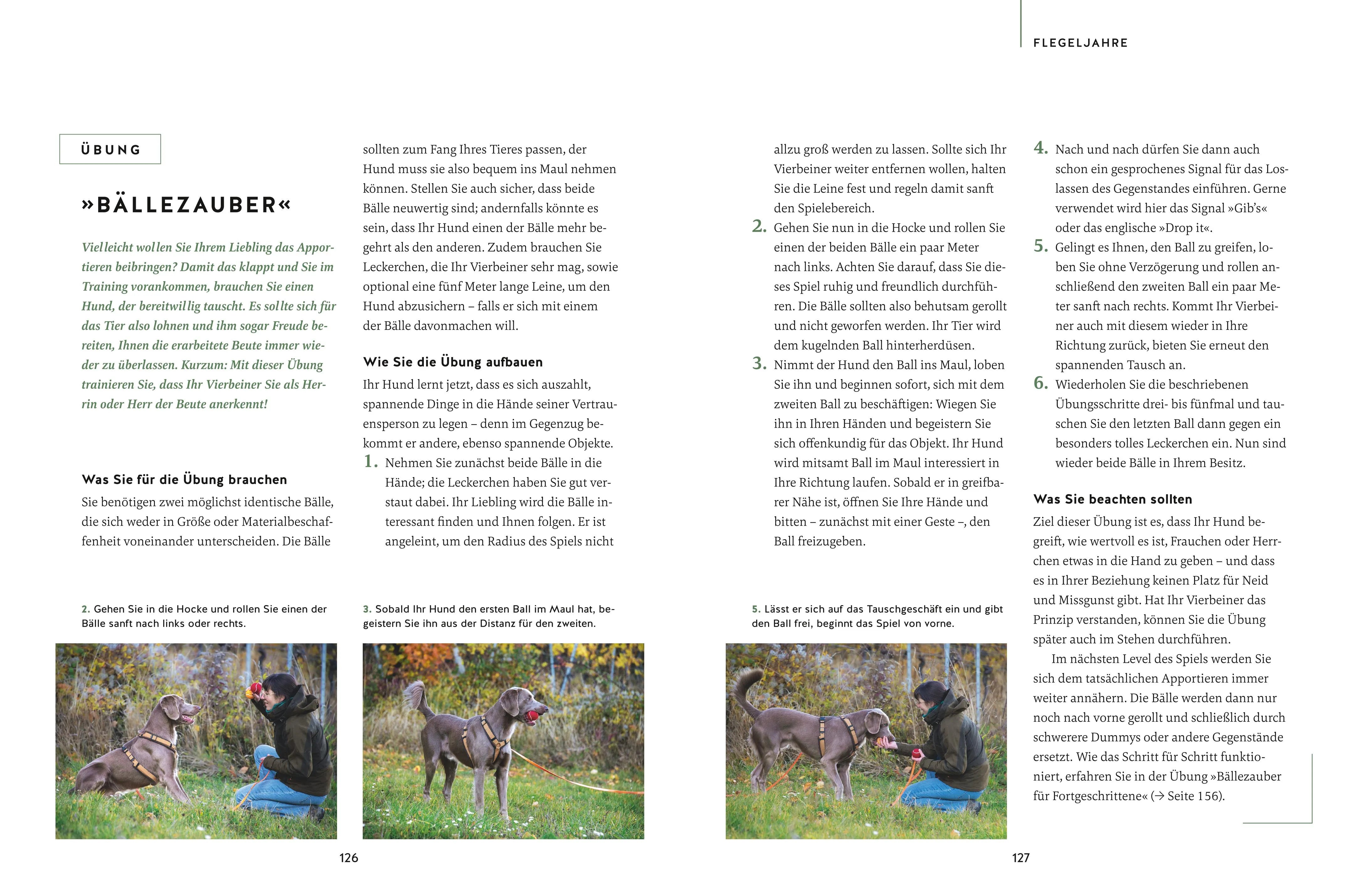 Produktansicht: Nie mehr Stress mit meinem jagenden Hund (Gebundene Ausgabe)