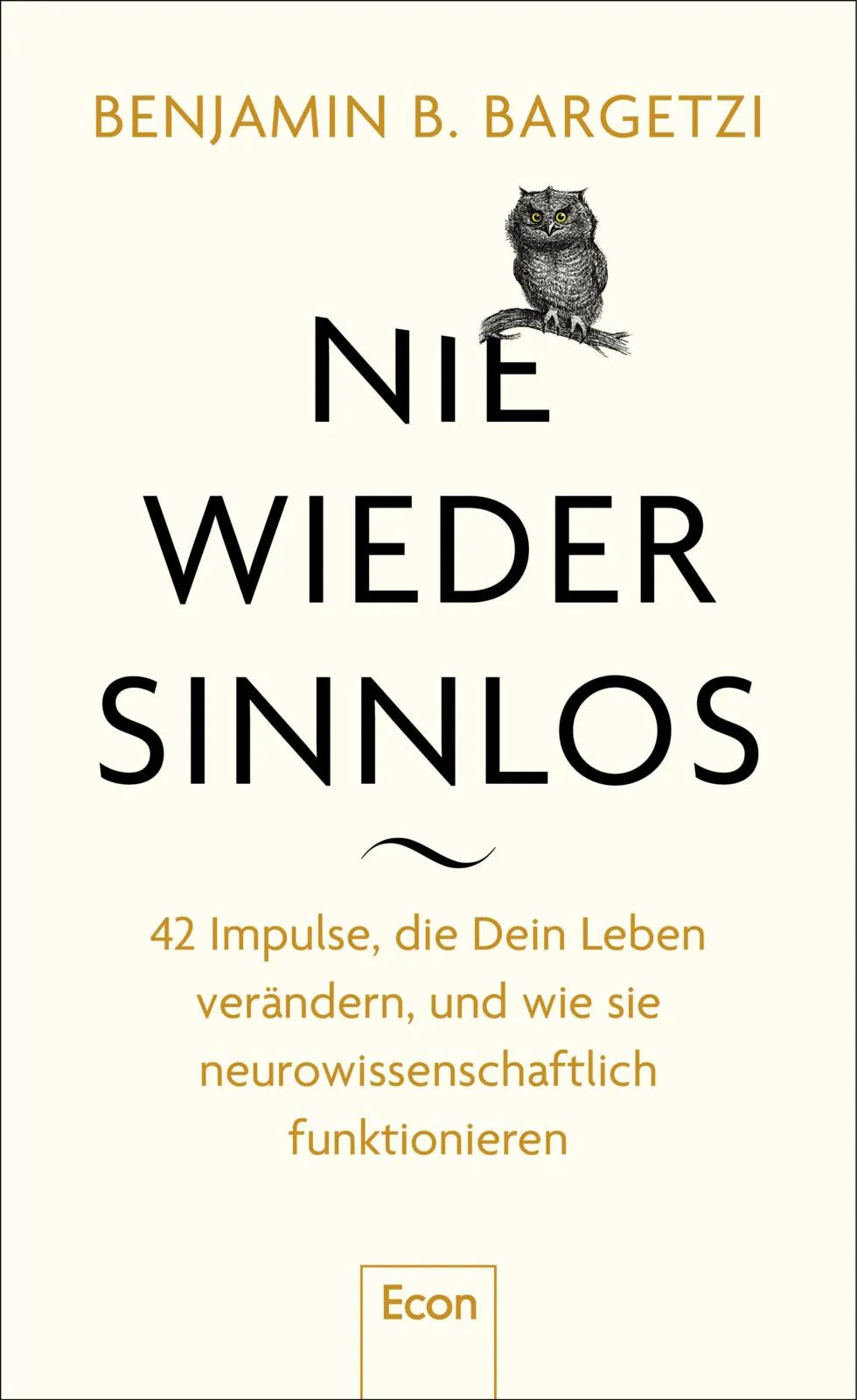 Buchcover von 'Nie wieder sinnlos' - Gebundene Ausgabe von Benjamin B. Bargetzi