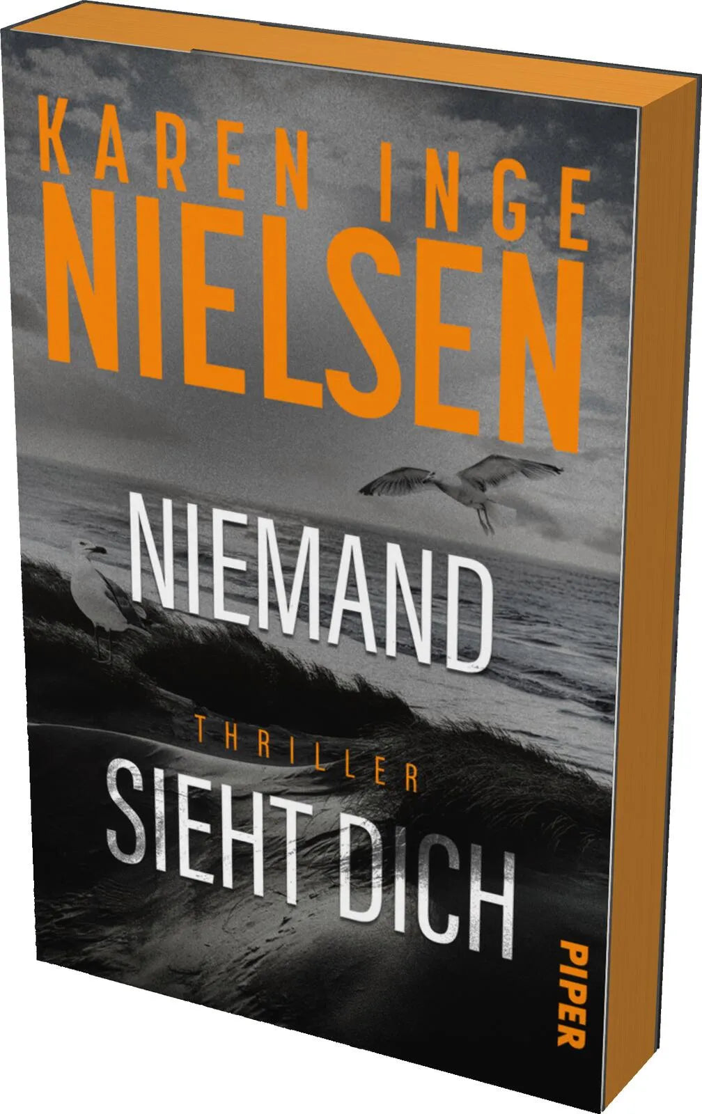 Cover: Niemand sieht dich (Paperback) von Karen Inge Nielsen