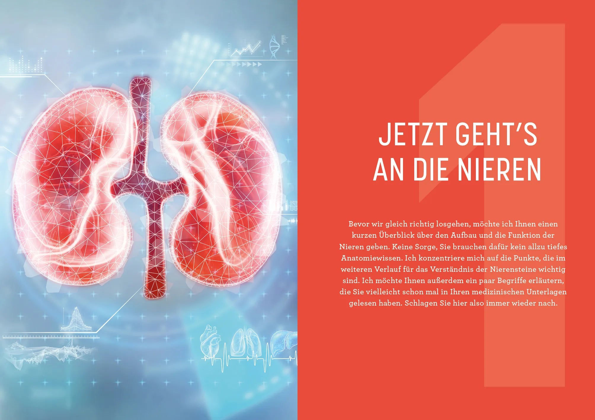 Innenansicht von 'Nierensteine – Ursachen erkennen, richtig behandeln, Rückfälle verhindern' - Taschenbuch