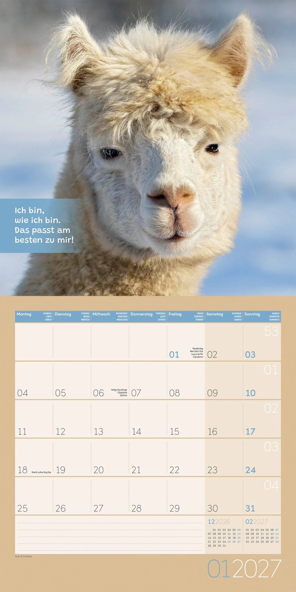 No Drama, Lama Kalender 2027 - 30x30 - Art12 – Ansicht