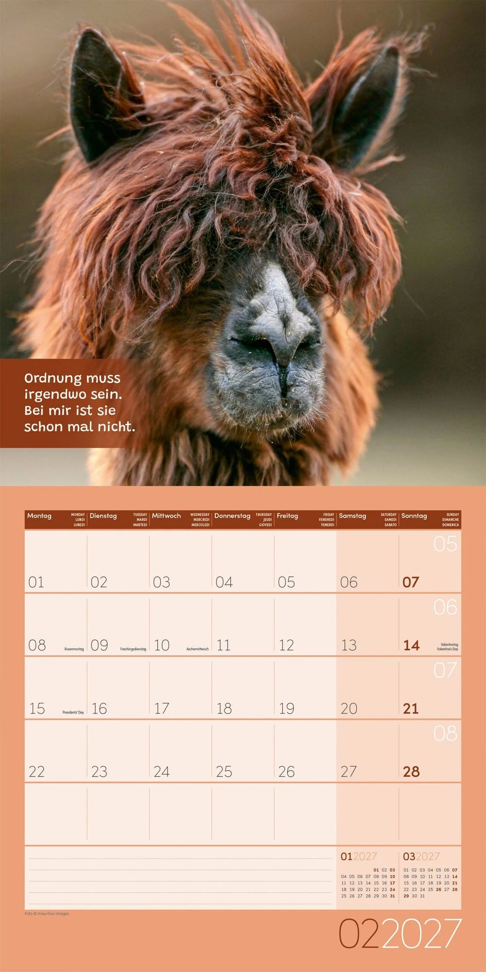 No Drama, Lama Kalender 2027 - 30x30 - Art12 – Ansicht