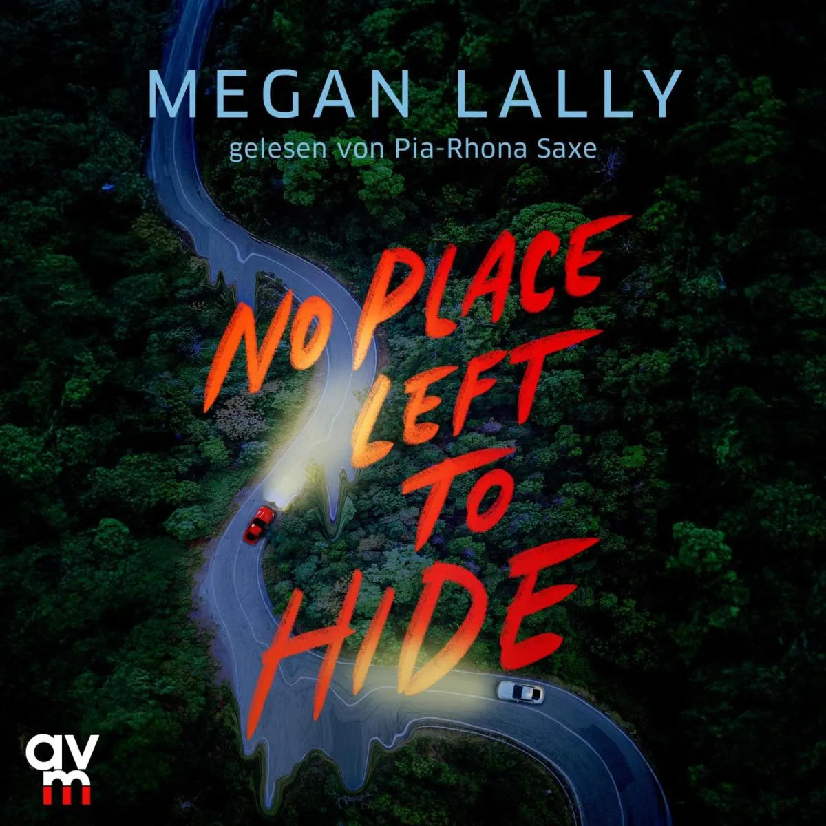 Cover: No Place Left To Hide (Hörbuch Download) von Megan Lally