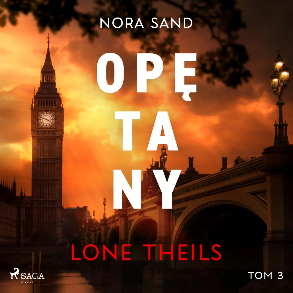 Cover: Nora Sand. Tom 3: Opętany (Hörbuch Download) von Lone Theils