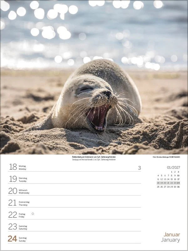 Nord- und Ostsee Wochenkalender 2027 – Ansicht