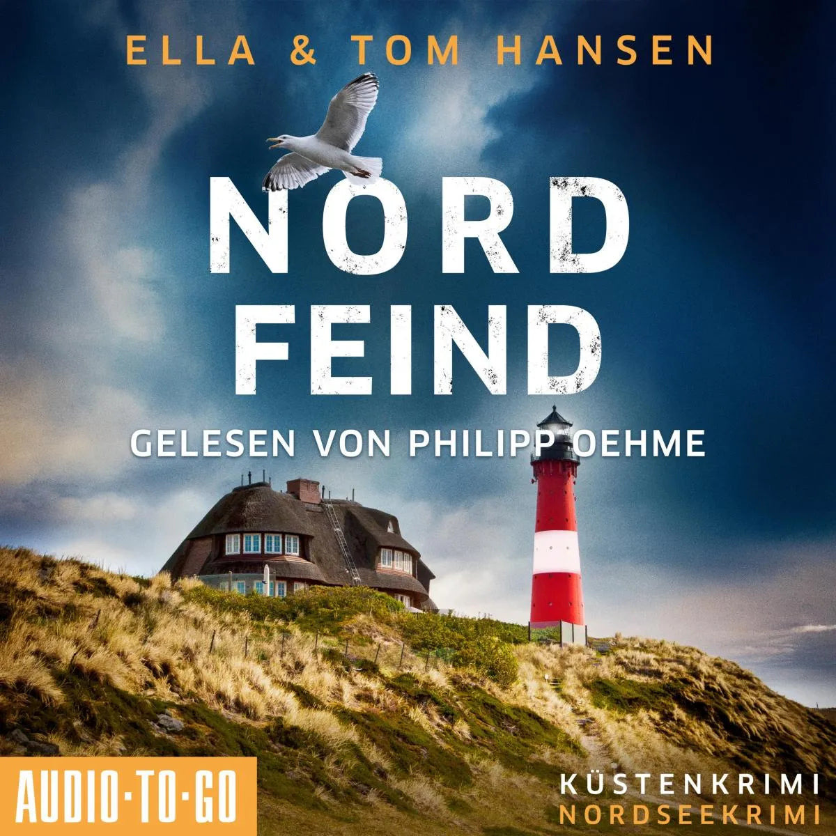 Cover: Nordfeind (Hörbuch Download) von Ella Hansen