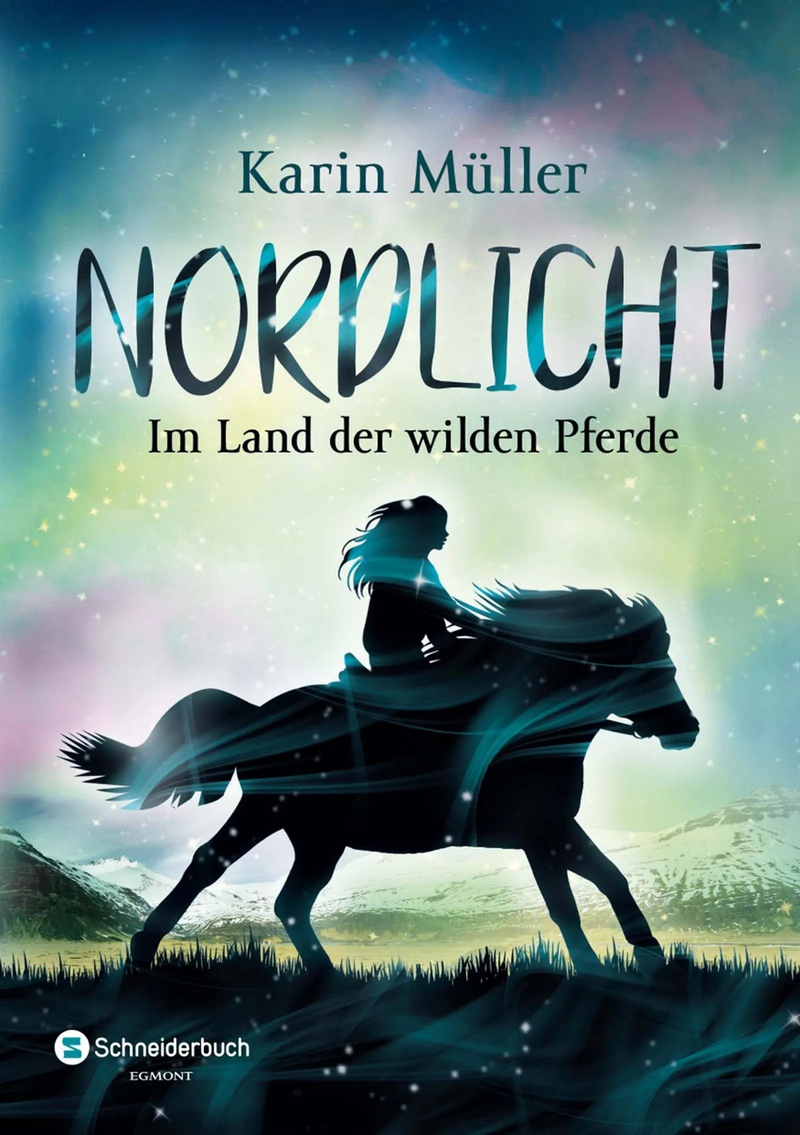 Buchcover von 'Nordlicht, Band 01' - Taschenbuch von Karin Müller