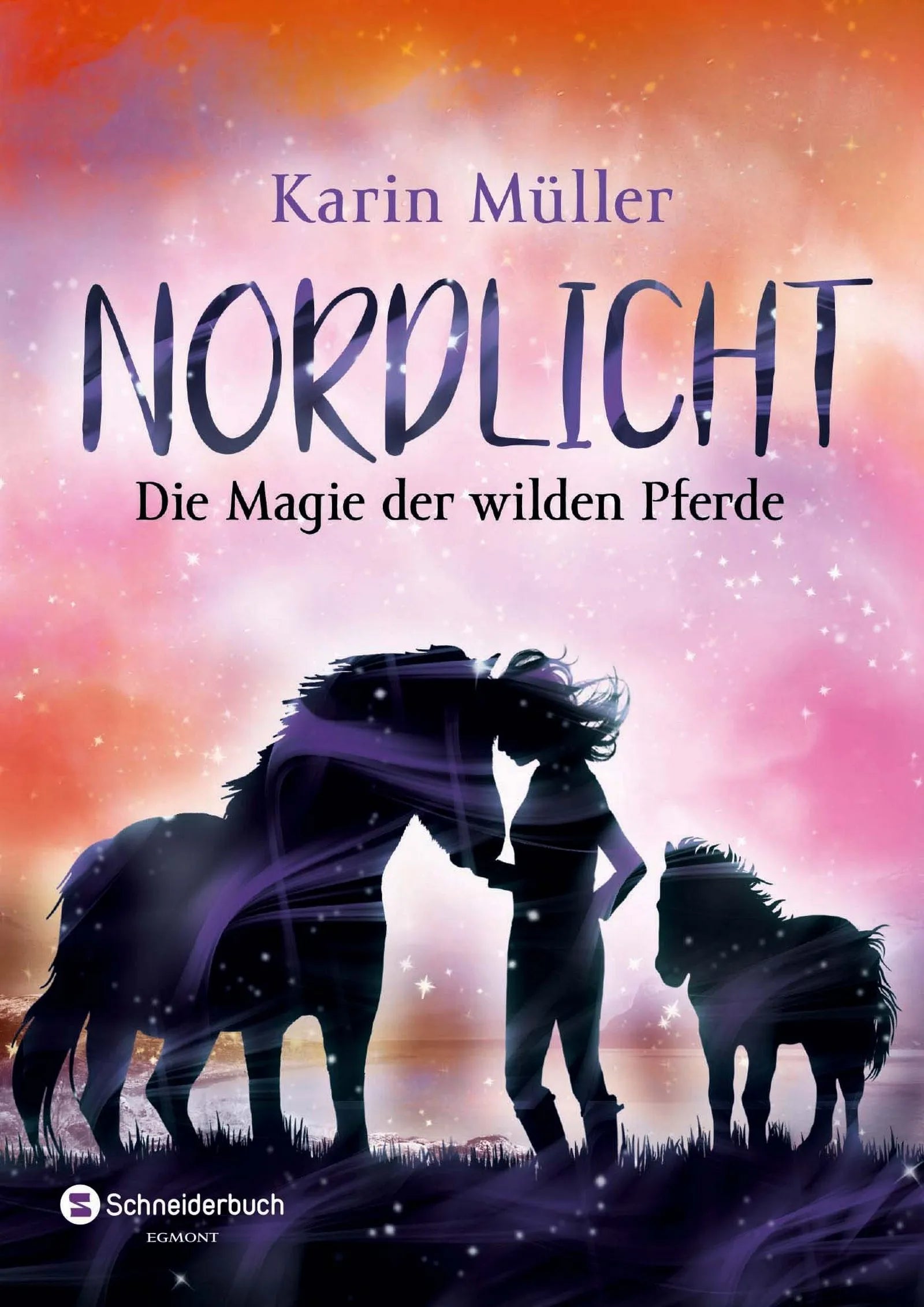 Cover: Nordlicht, Band 03 (Taschenbuch) von Karin Müller