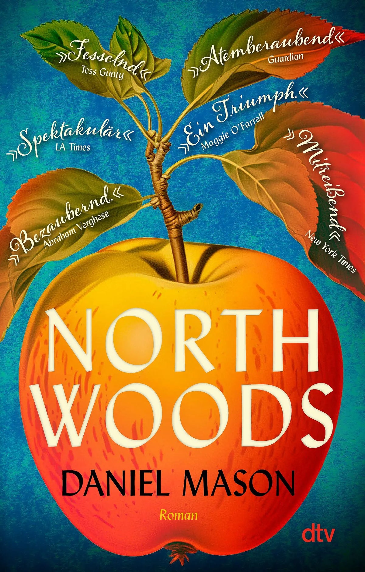 Cover: North Woods (Taschenbuch) von Daniel Mason