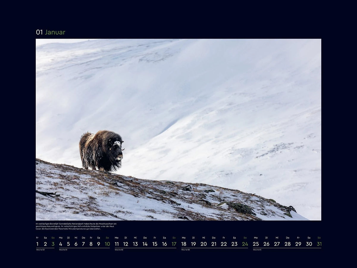 Norwegen - KUNTH Wandkalender 2027 – Ansicht