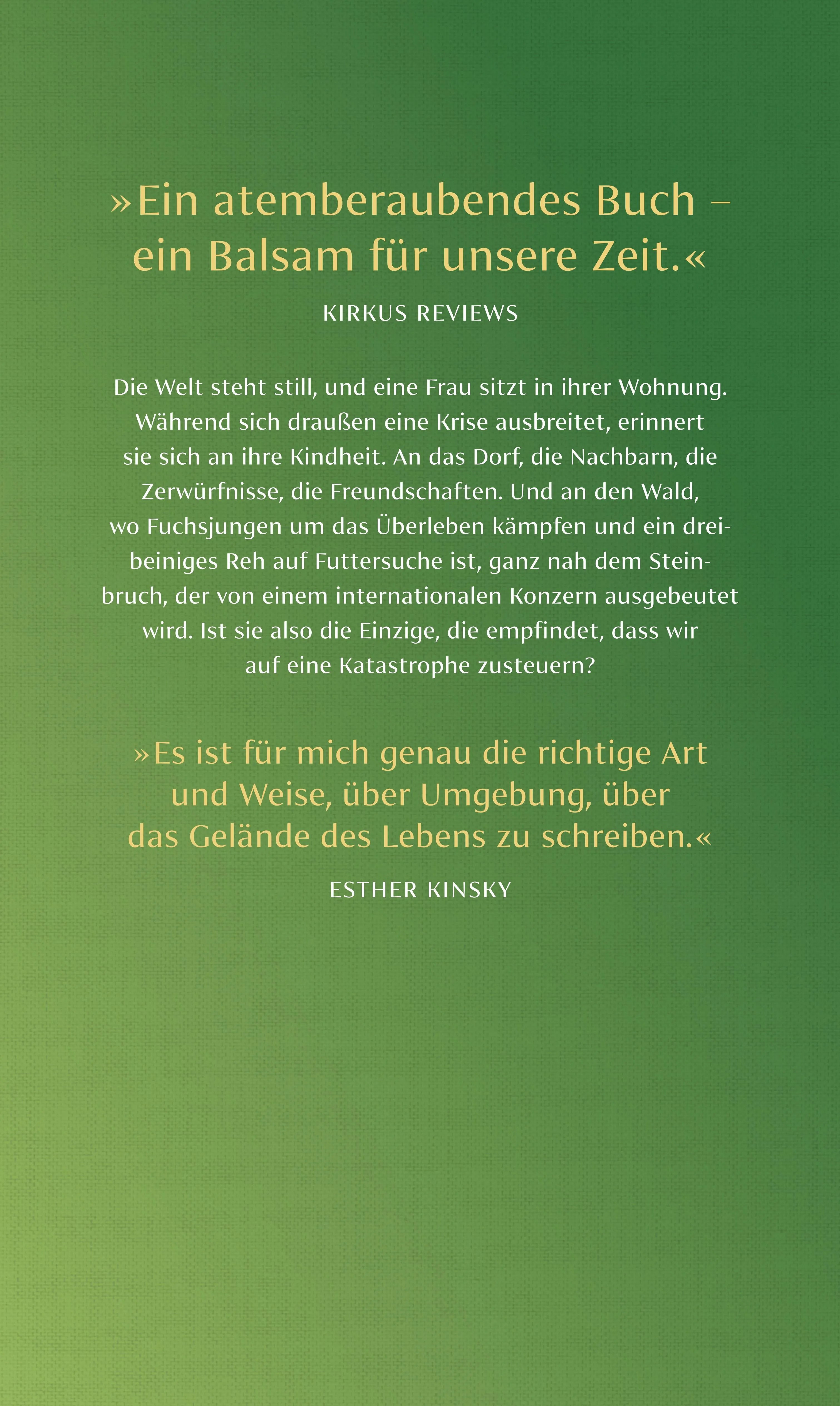 Buchrückseite von 'Notstand' mit Klappentext - Gebundene Ausgabe